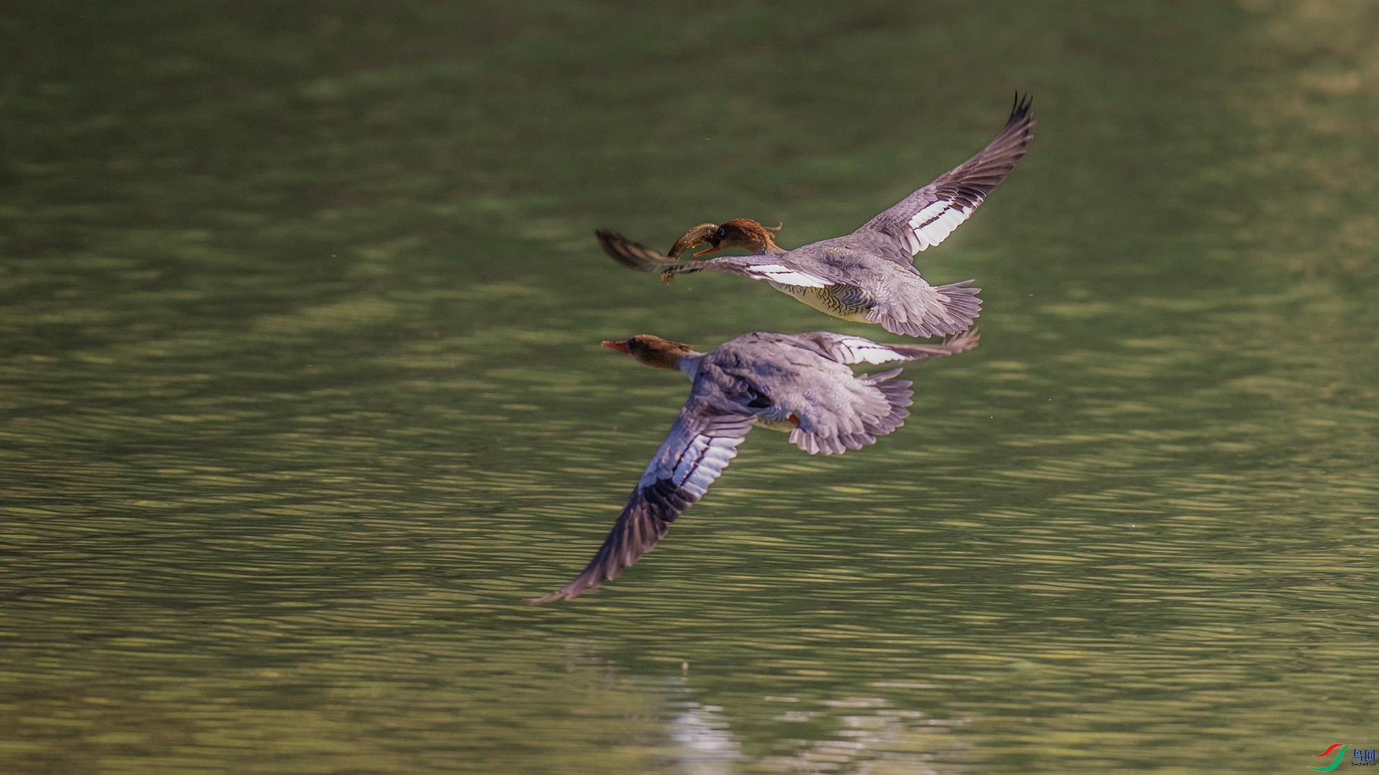 _DSC0602 ����.jpg