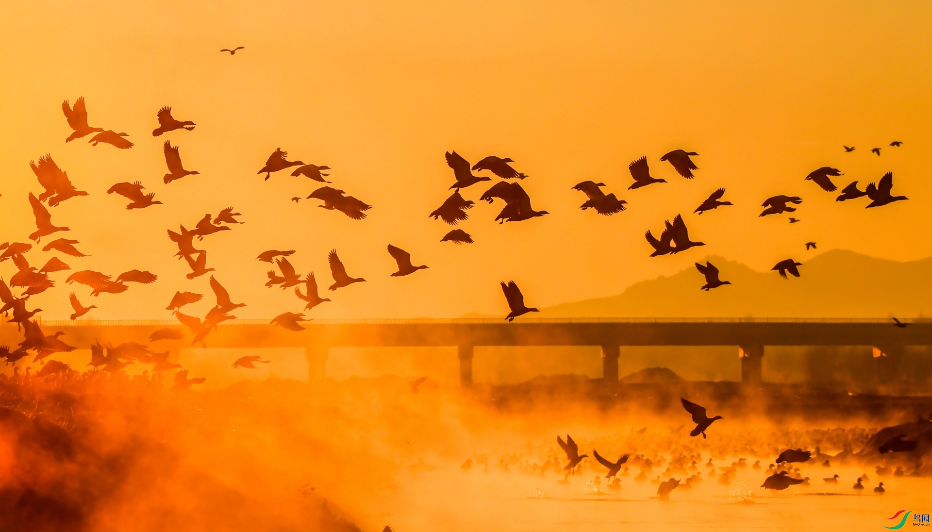 ����Ѽ��