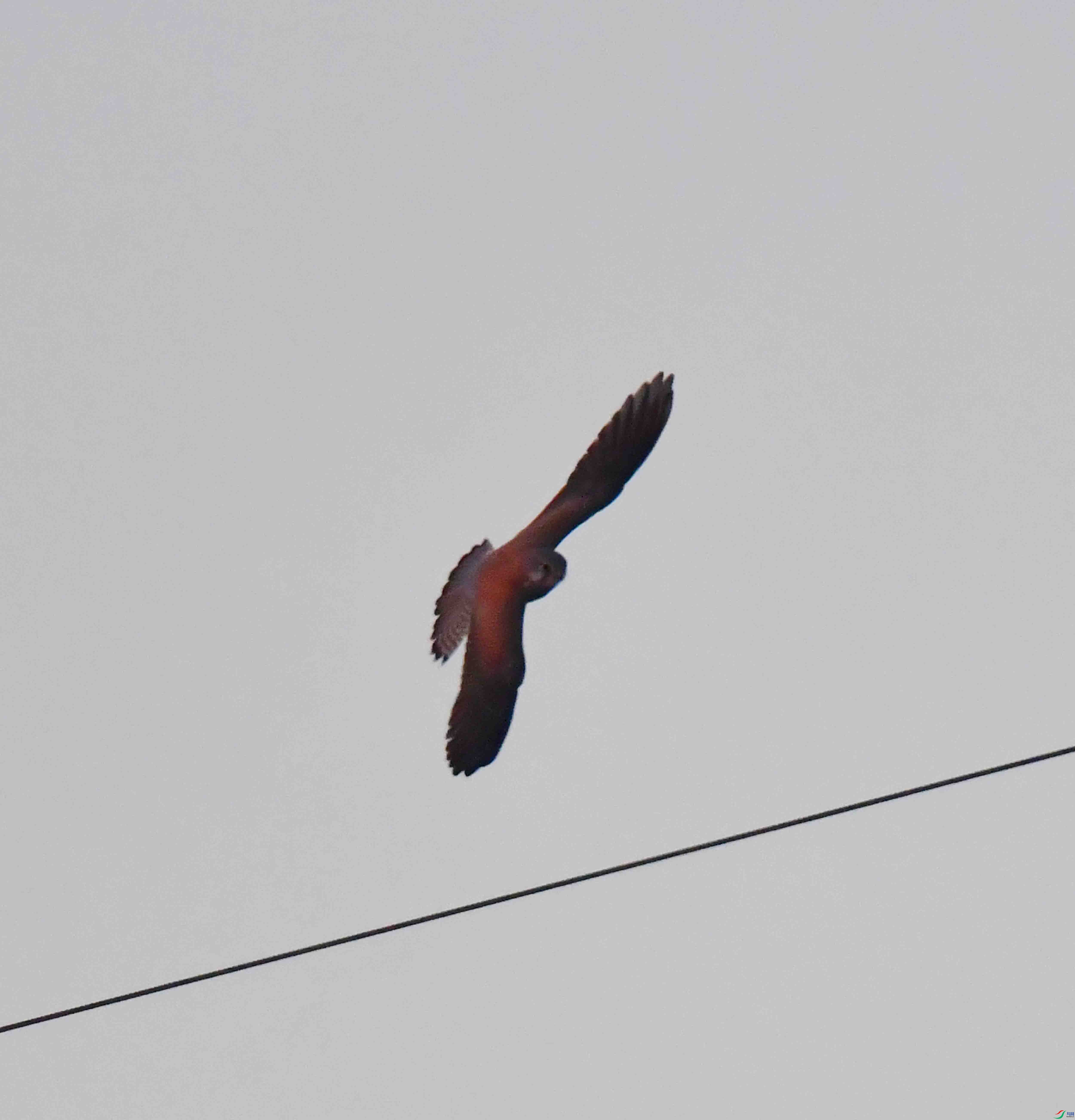 DSC_6073.JPG
