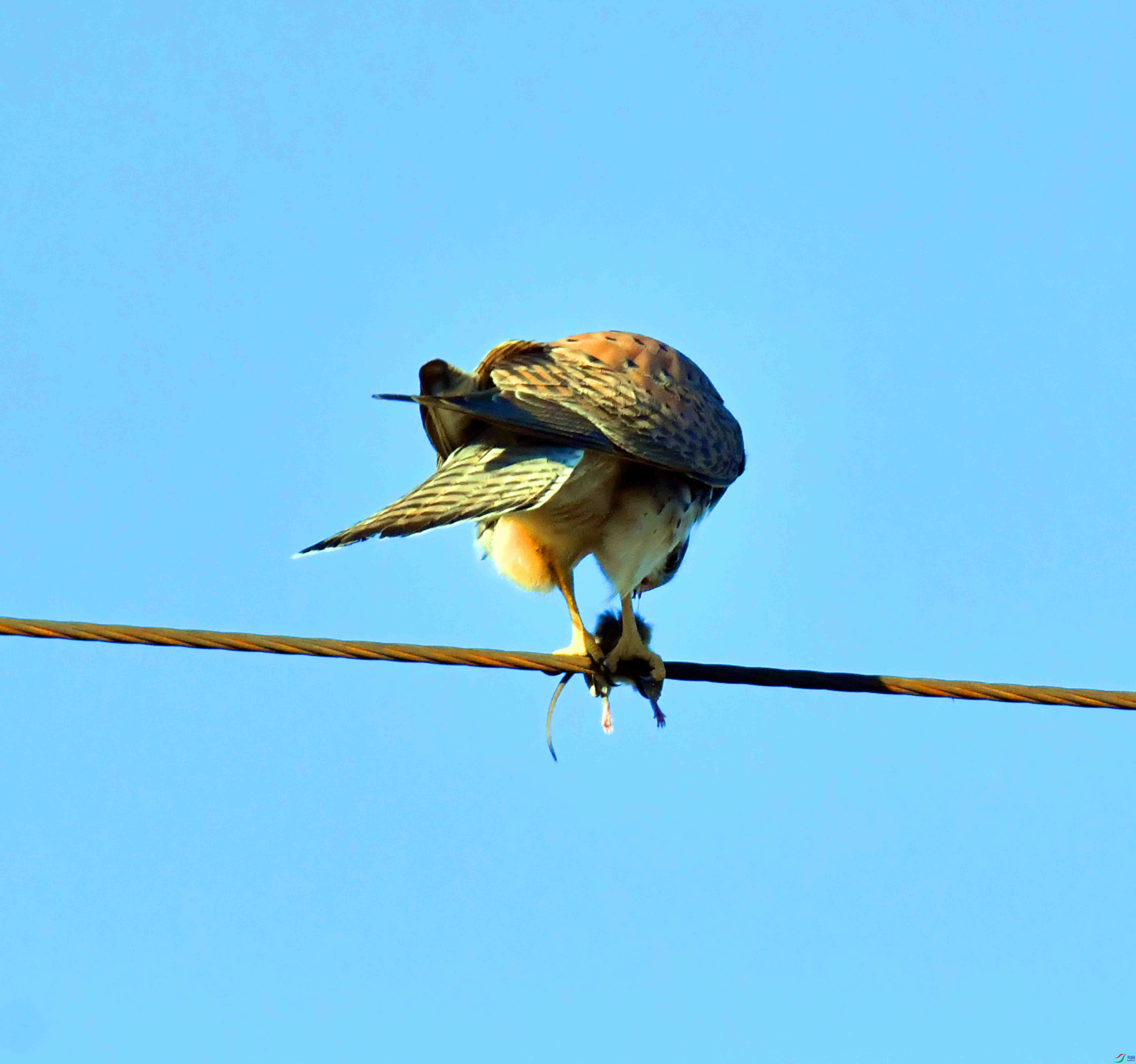 DSC_6762.JPG