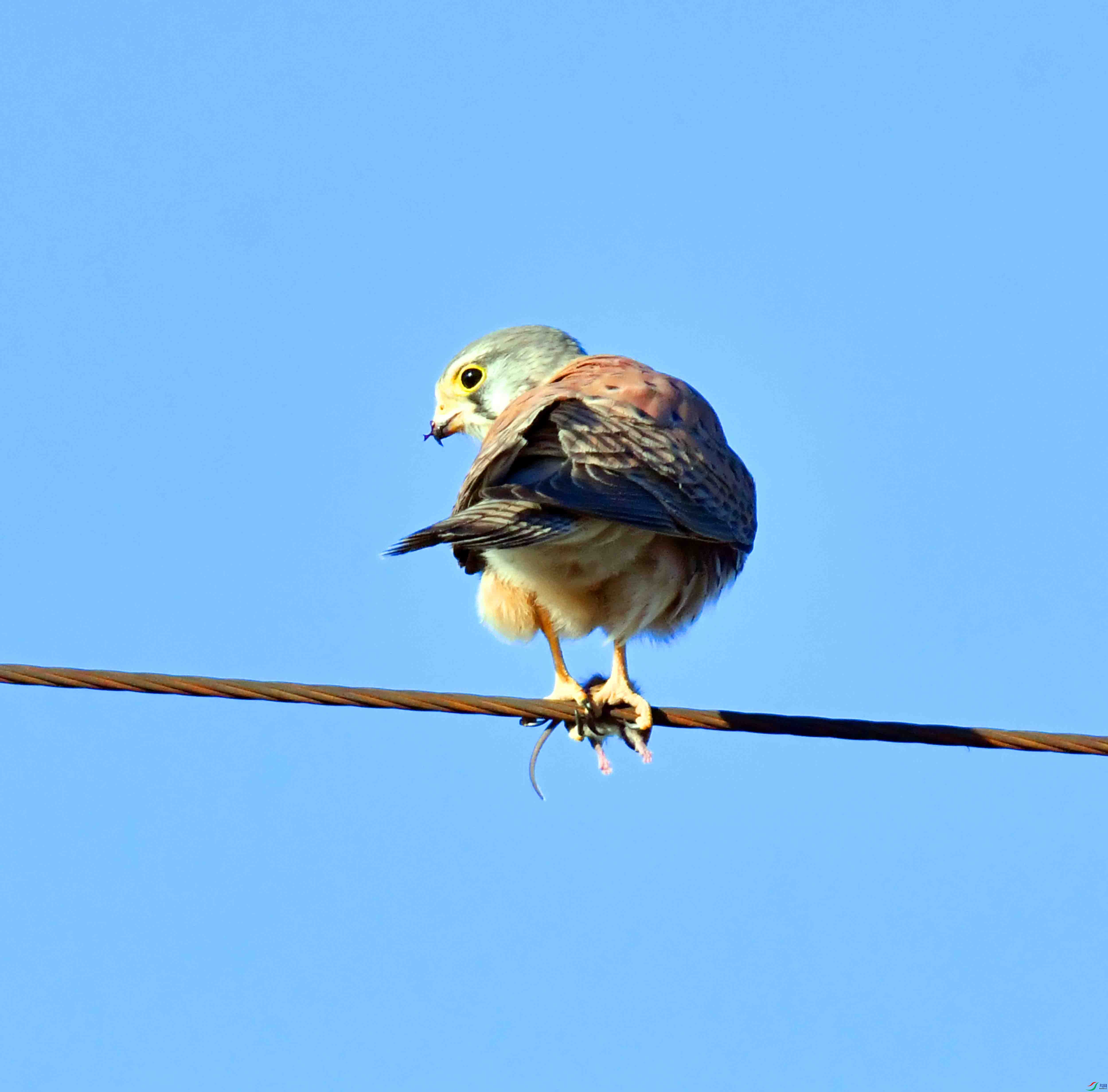 DSC_6765.JPG
