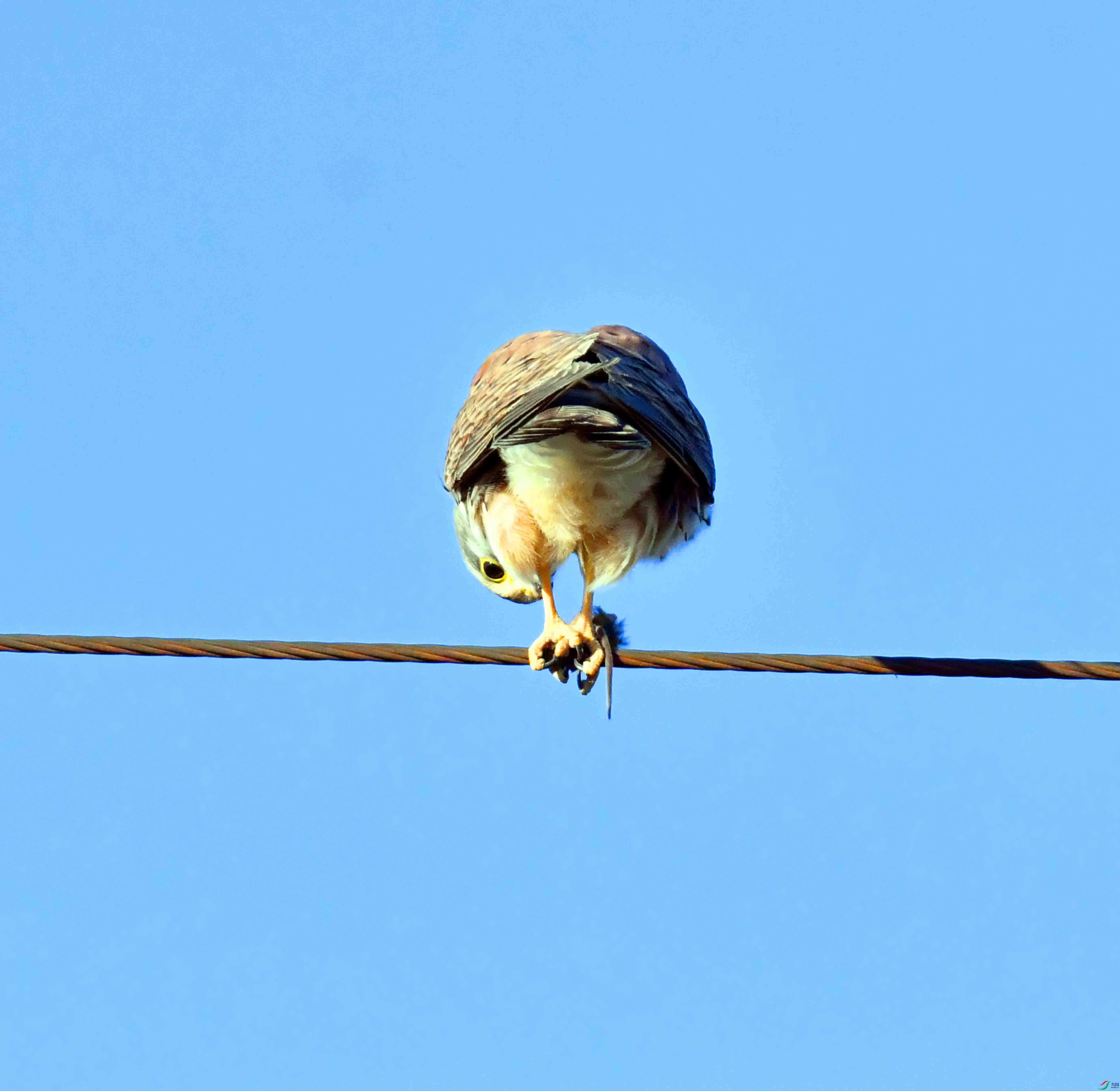 DSC_6821.JPG