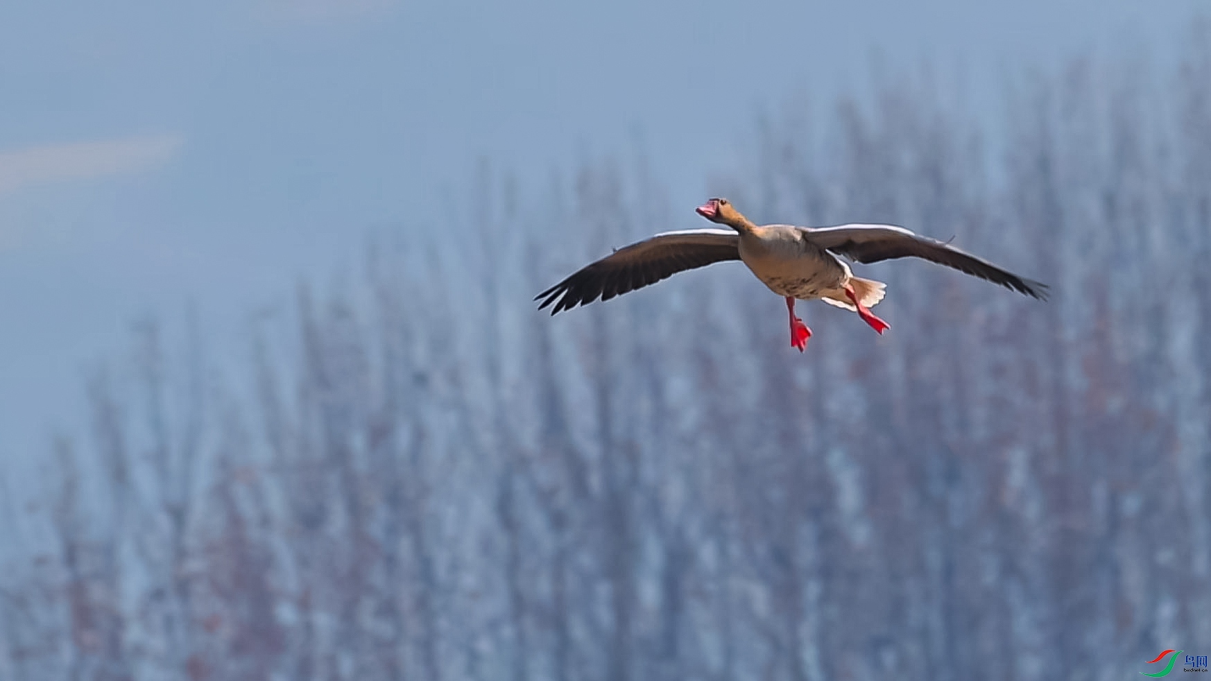 ����ķ��м���-���� ����.jpg