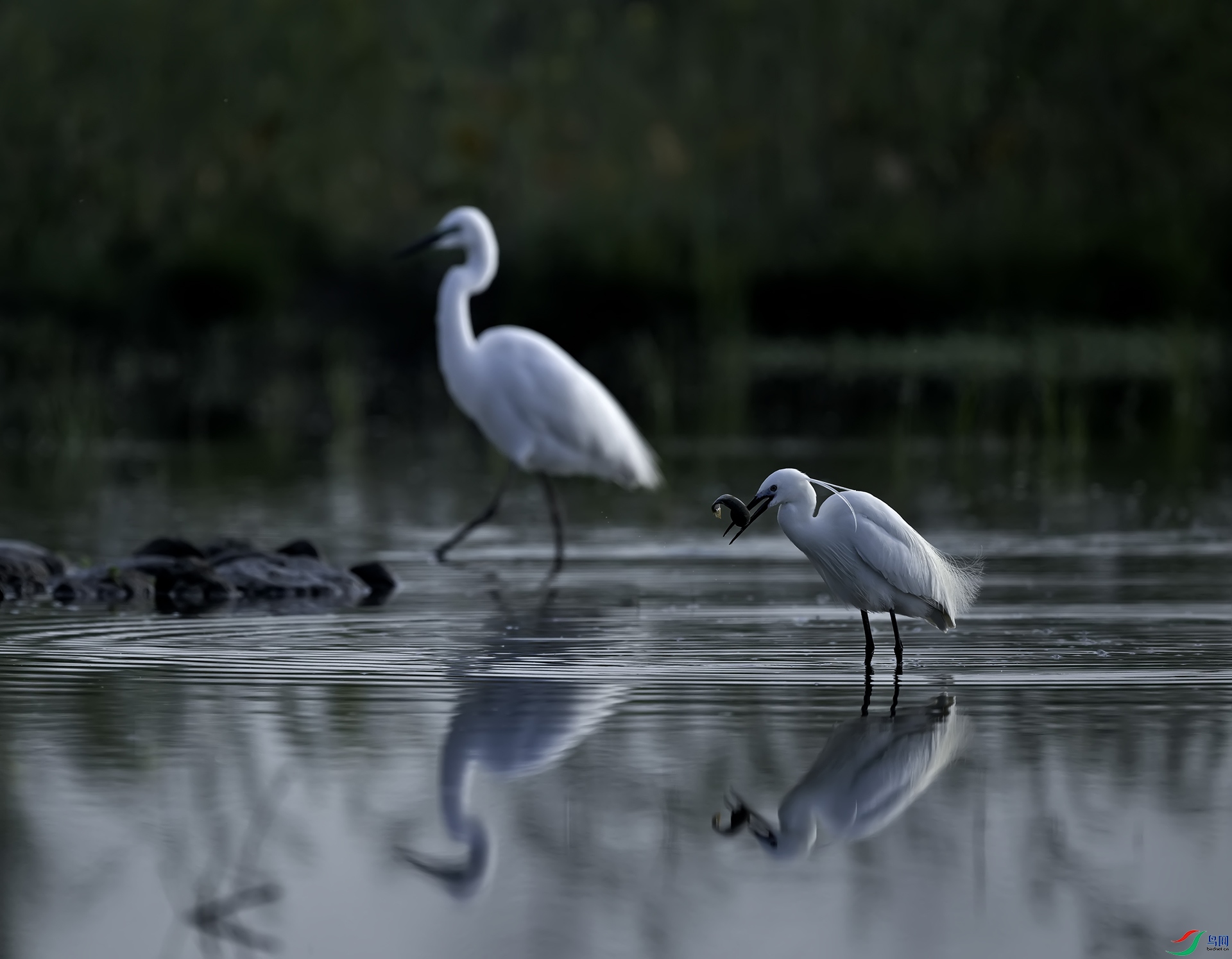 С����ץ����