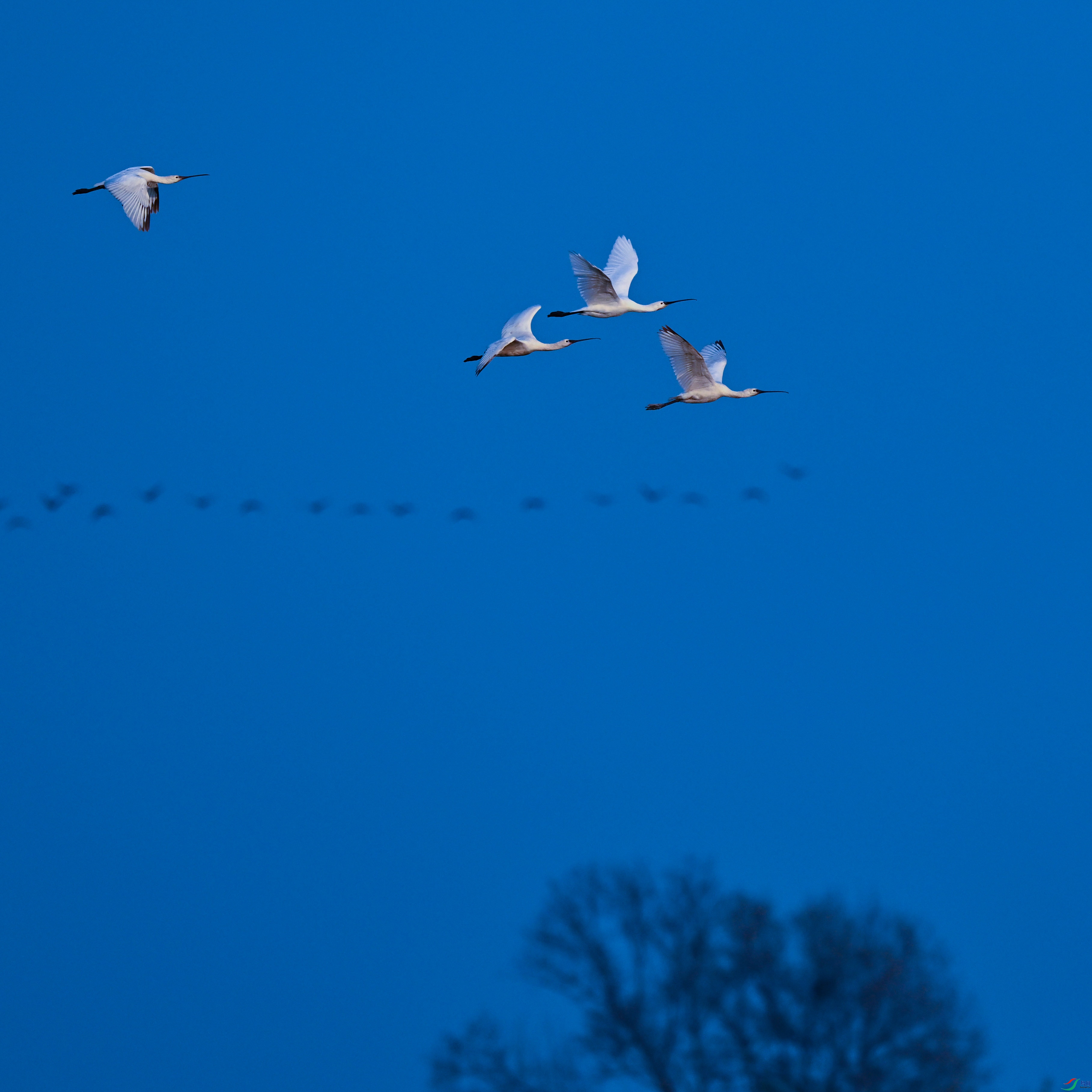 DSC_4568.jpg