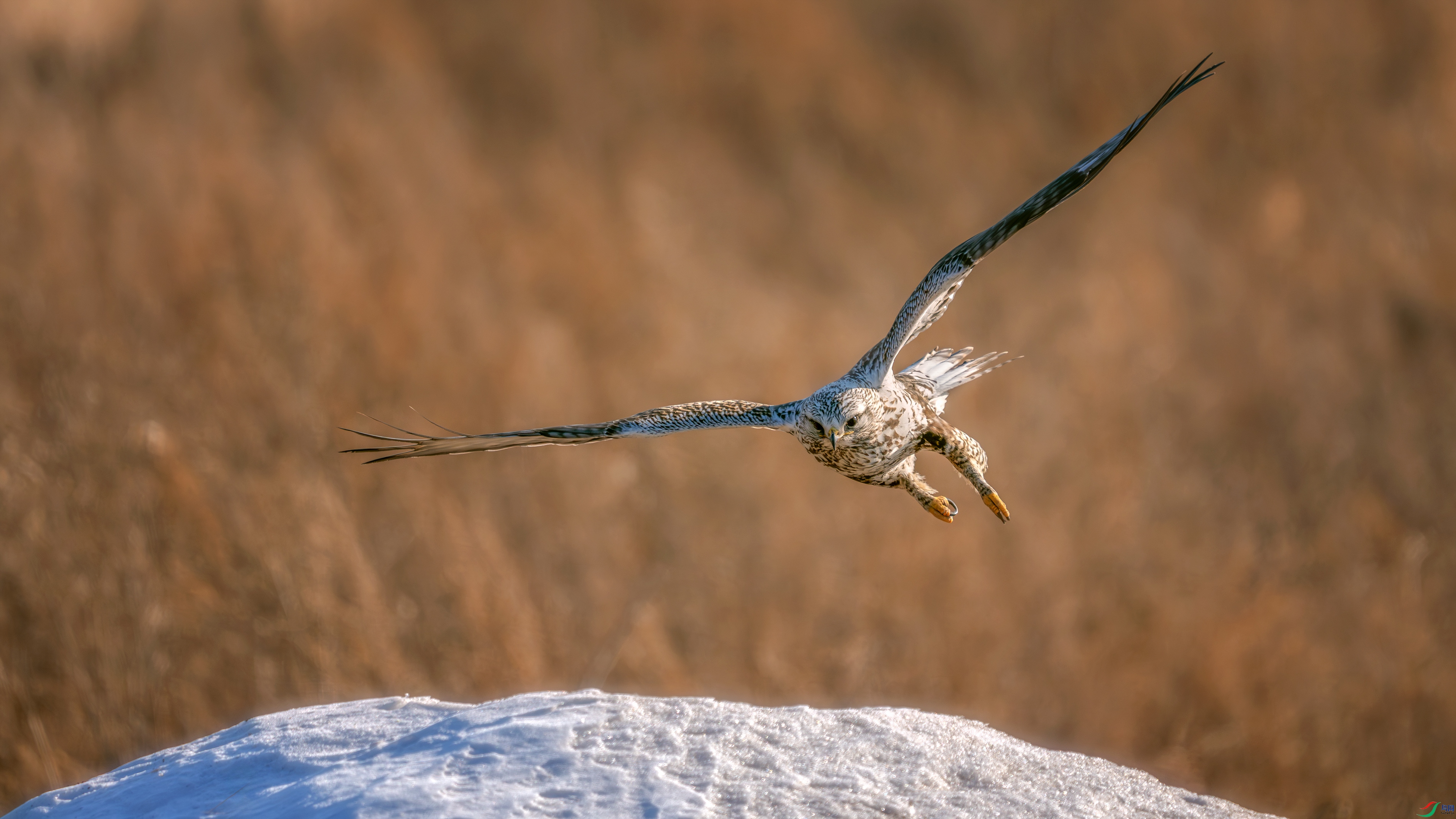 _DSC4848 ����.jpg