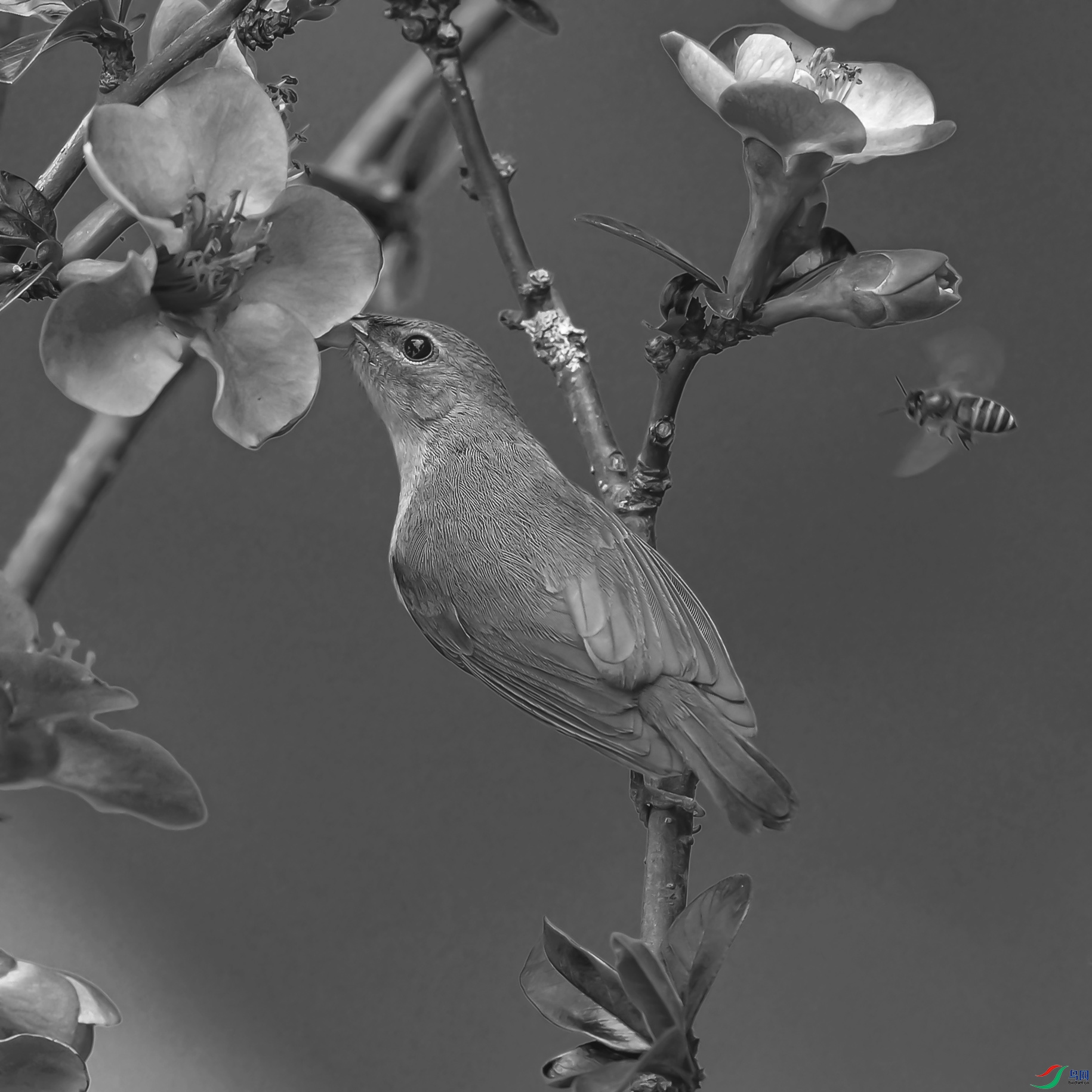 DSC_0379.jpg