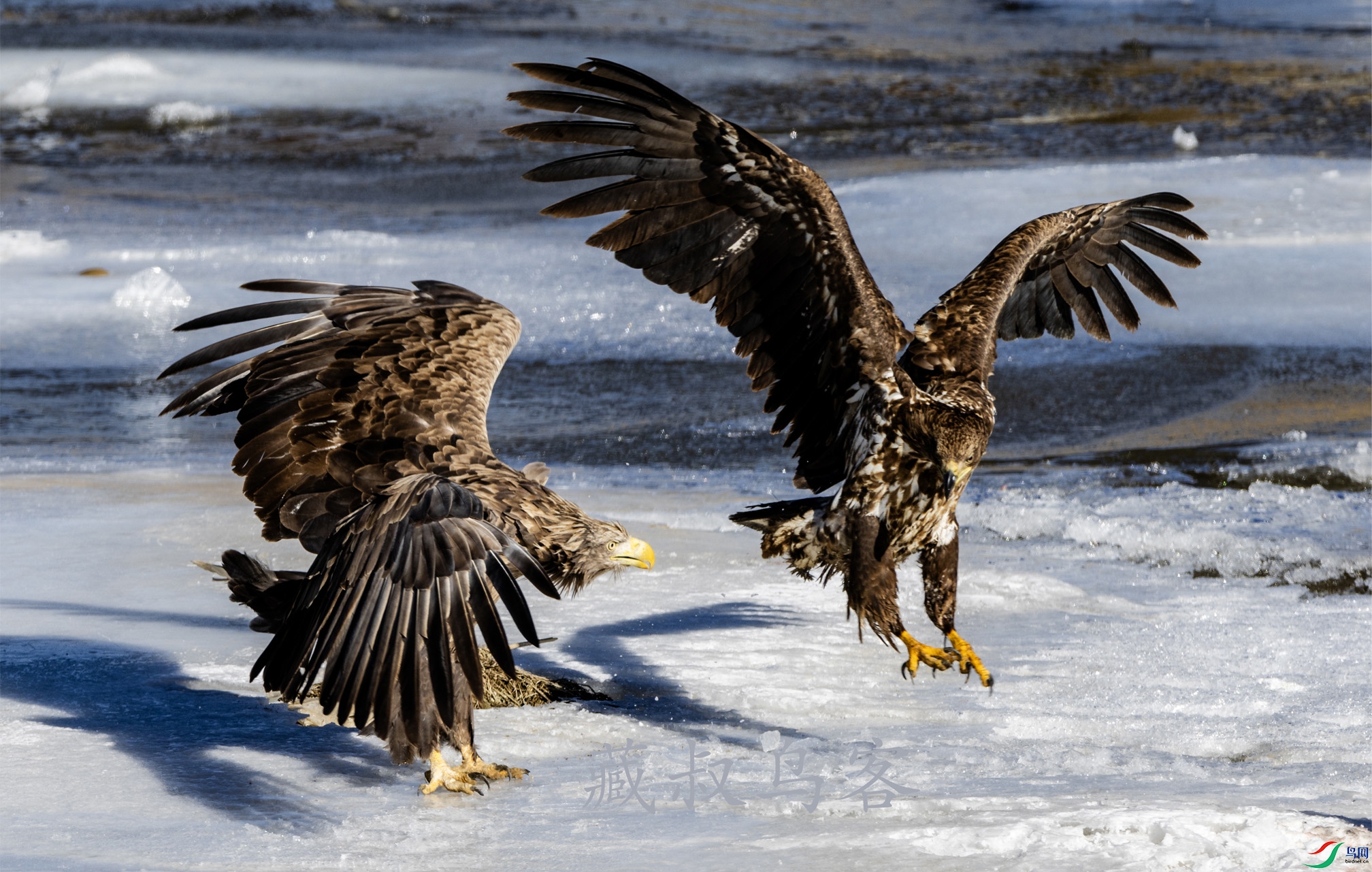 89 ��β����OK ����.jpg