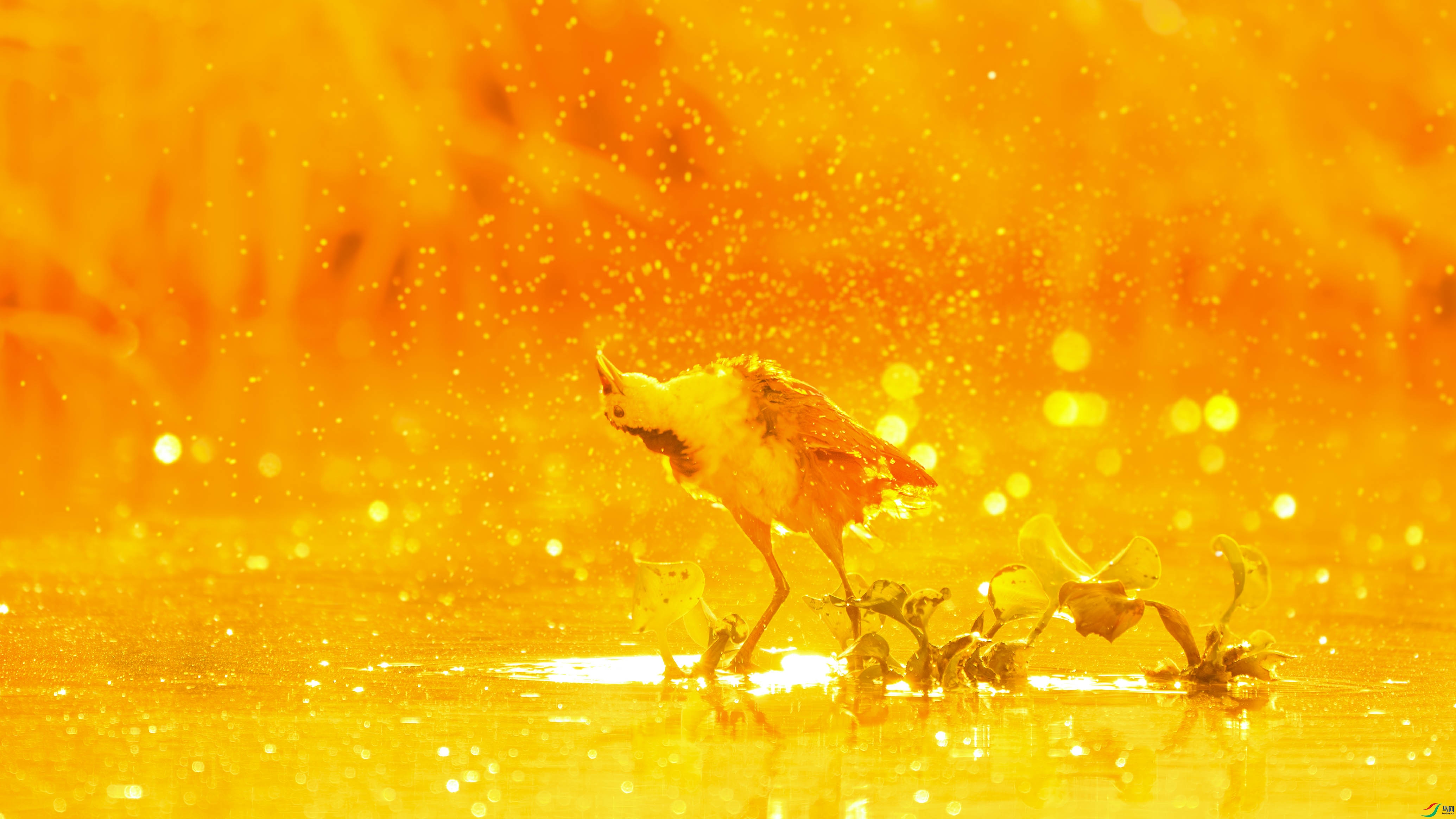 _DSC7946-����ǿ-NR ���� 2.jpg