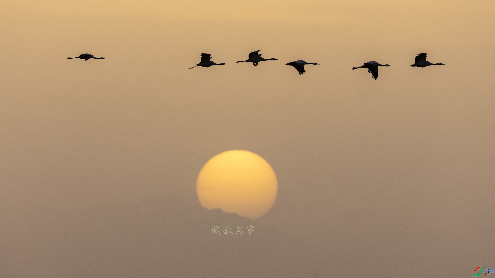 4K2A2011 ����.jpg