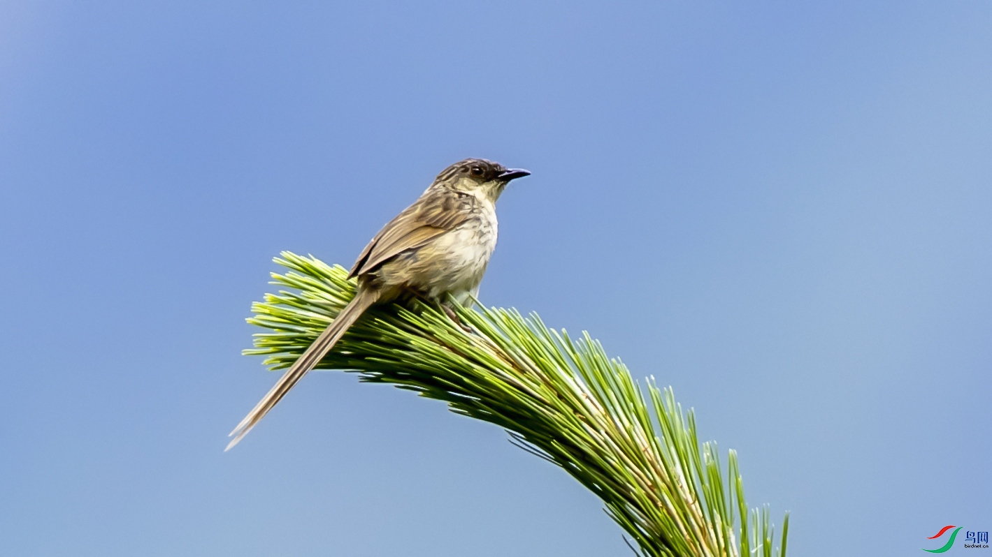 4K2A6912����ɽ��ݺok ����.jpg