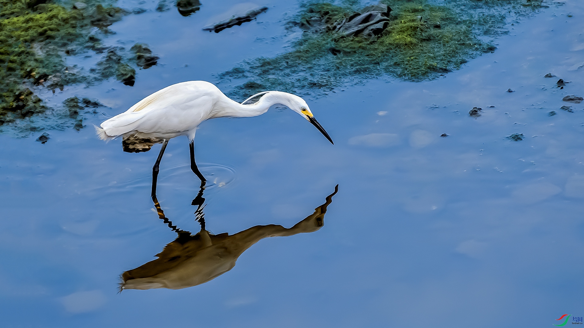 DSC_4758.jpg