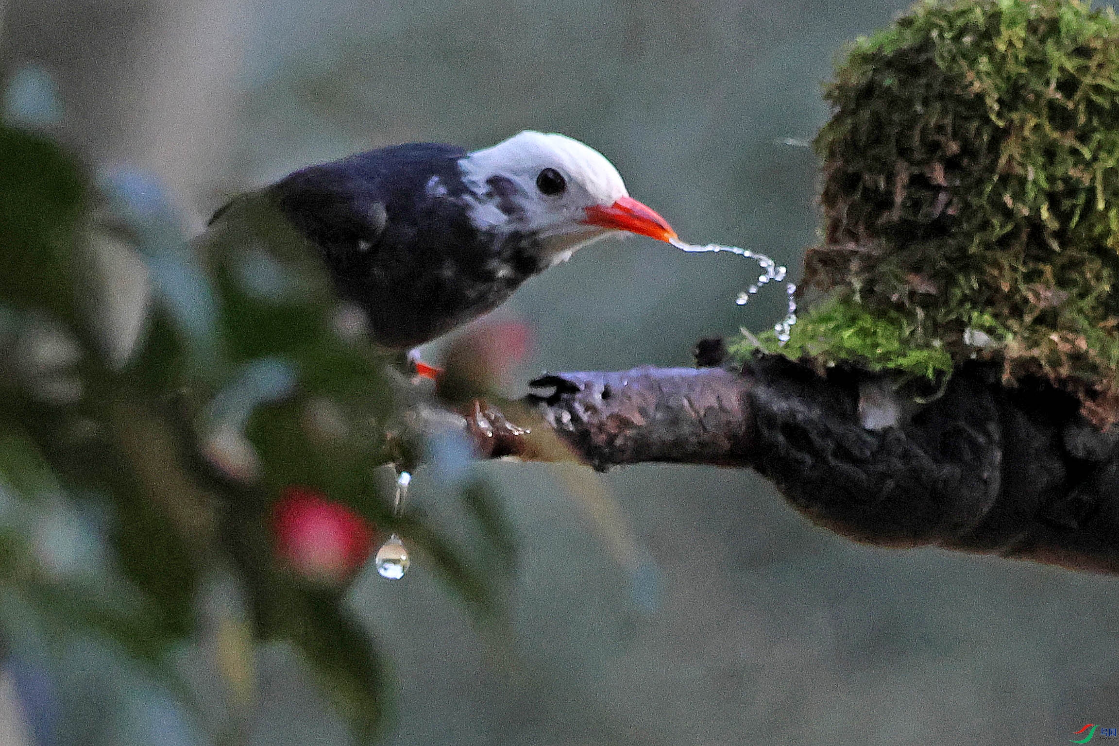 2G9A3379.JPG