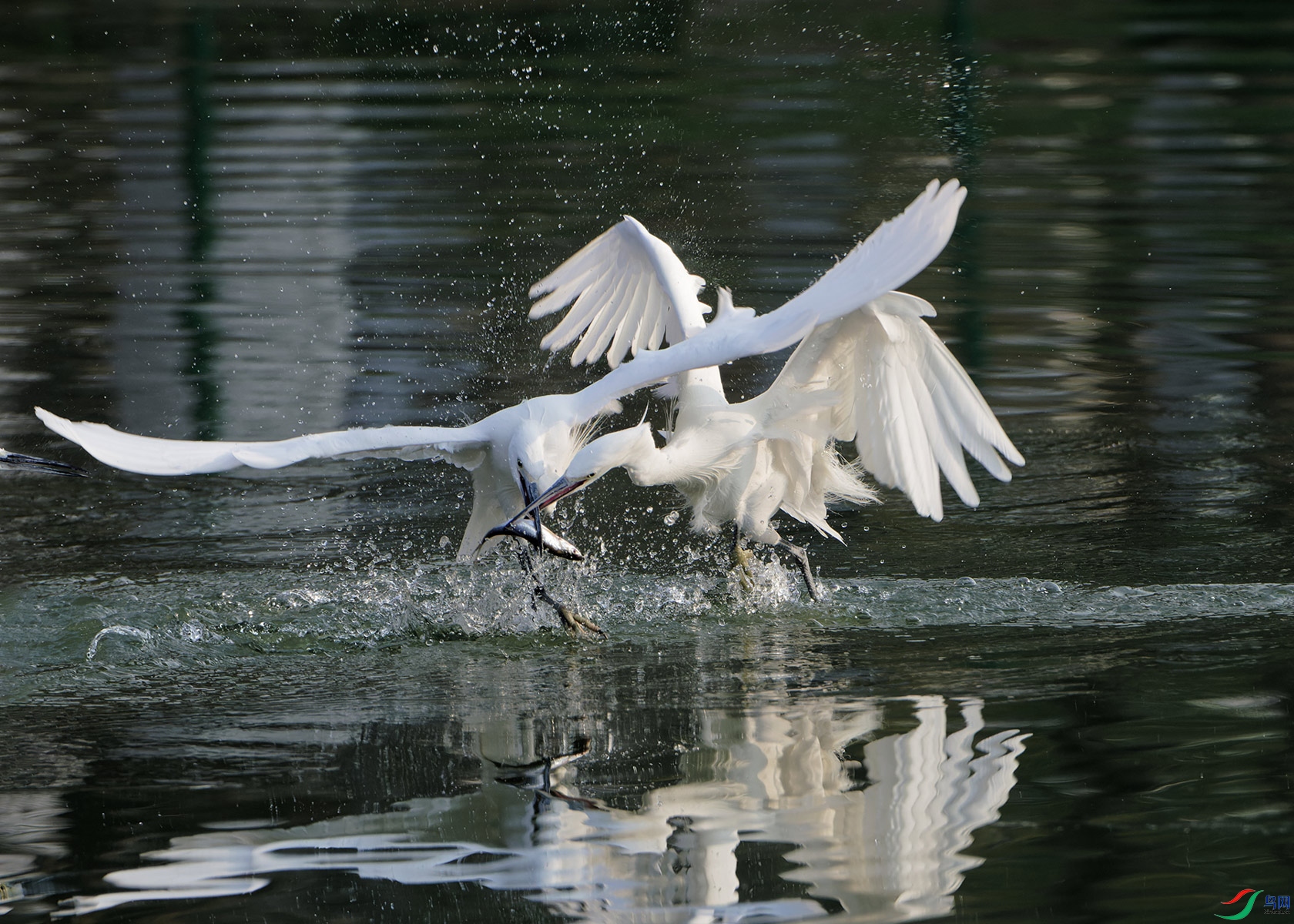 DSC_1689.jpg