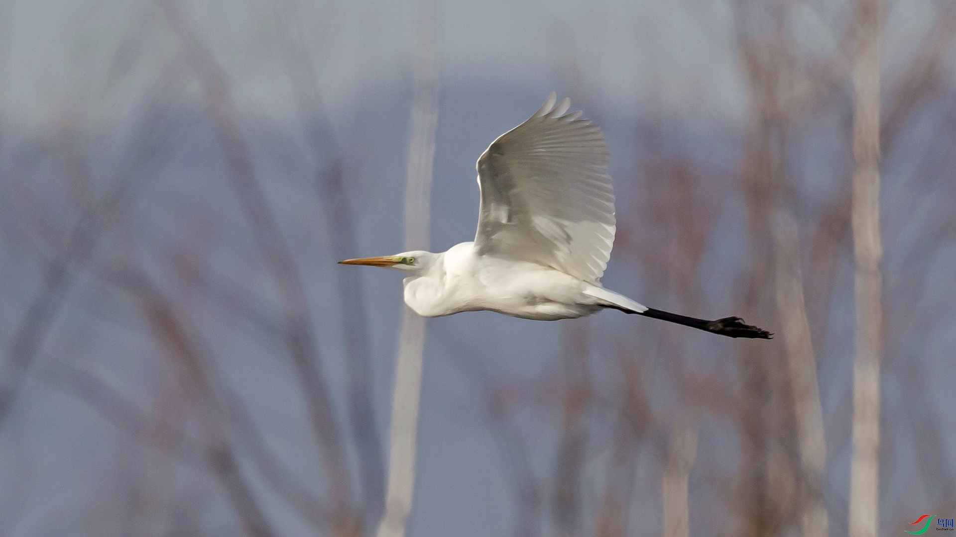 �����