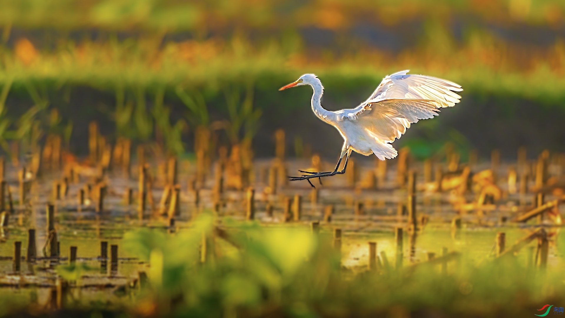 1_XXL0500-1 ���� 2.jpeg