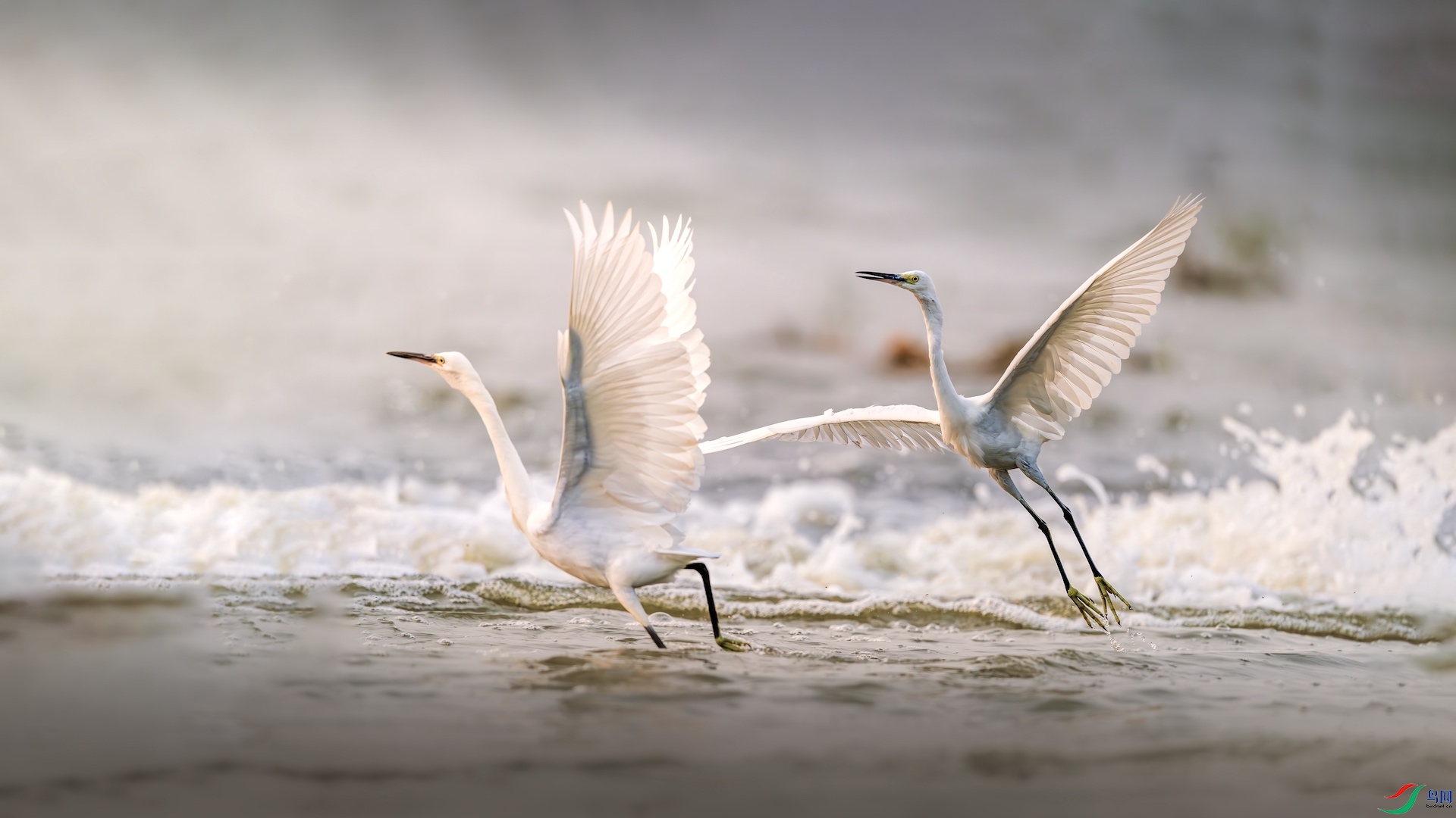 1-5XXL_6103-����ǿ-NR ����.jpeg