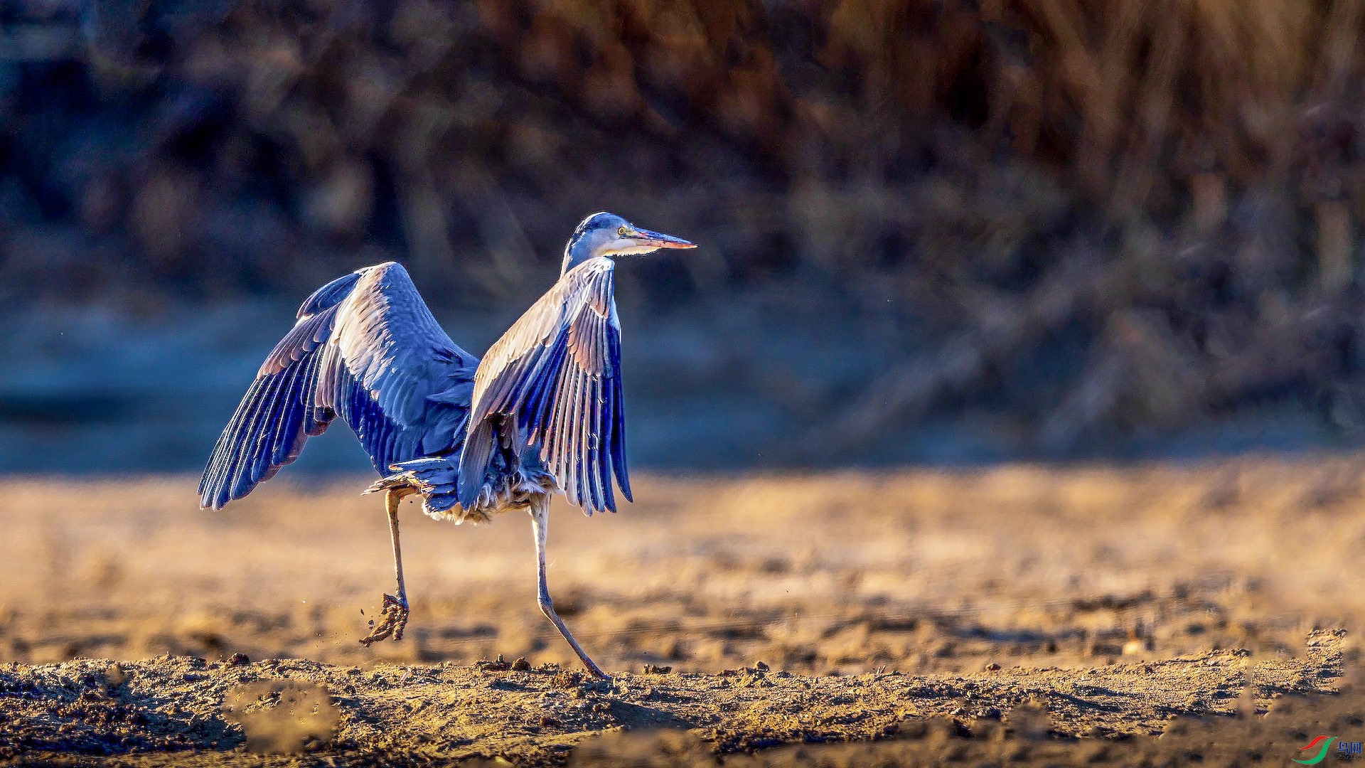 1δ����-1657 2 ����.jpeg