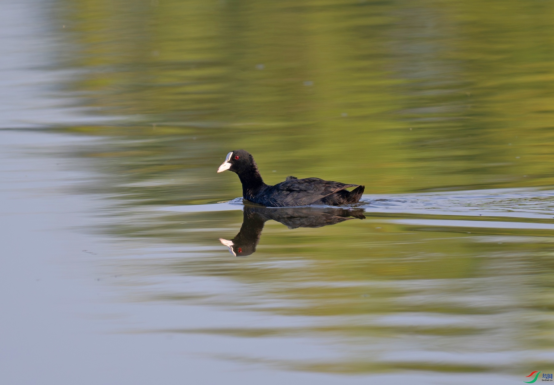 _DSC4591f.jpg