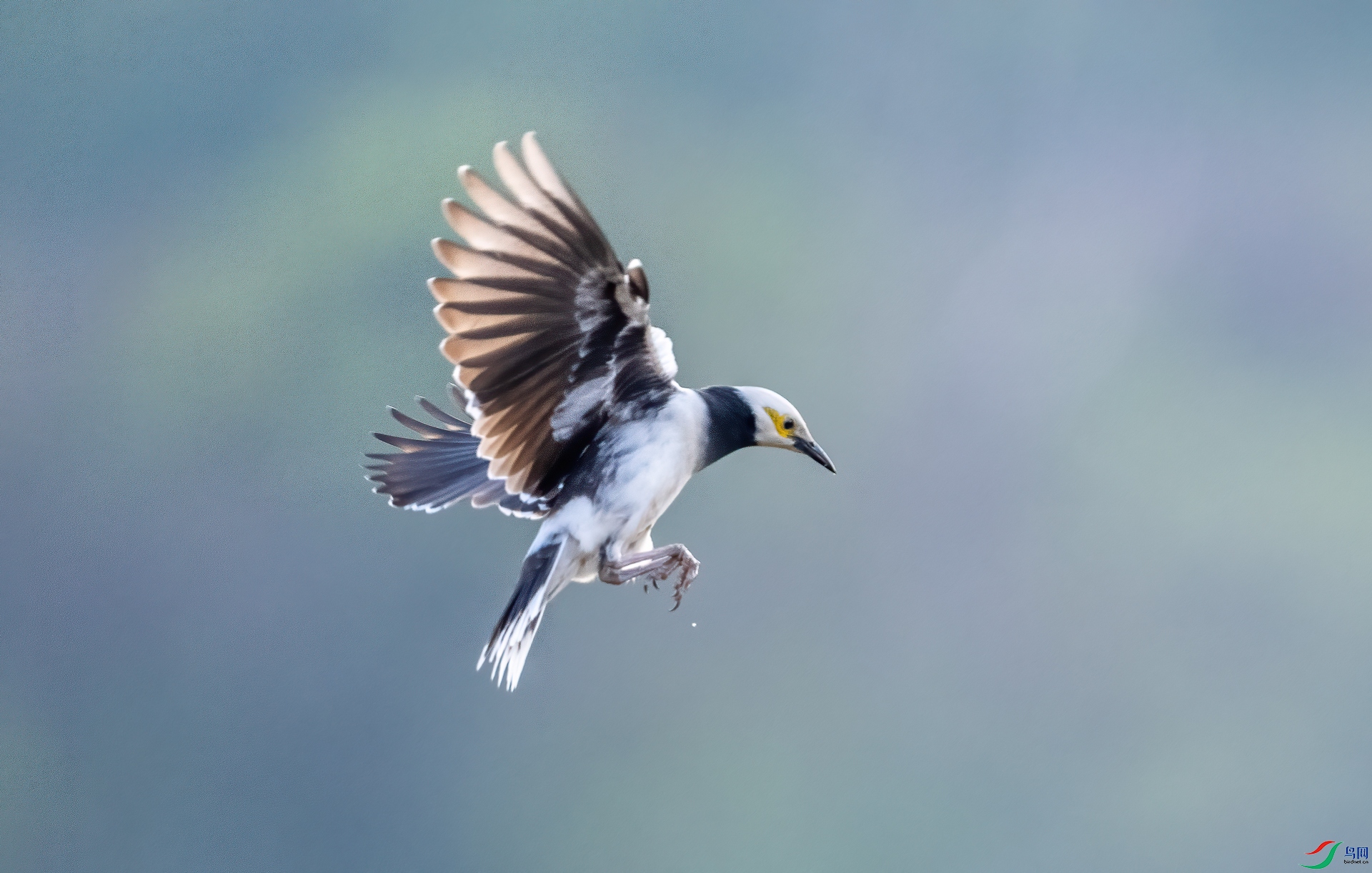 DSC_0020-1.jpg