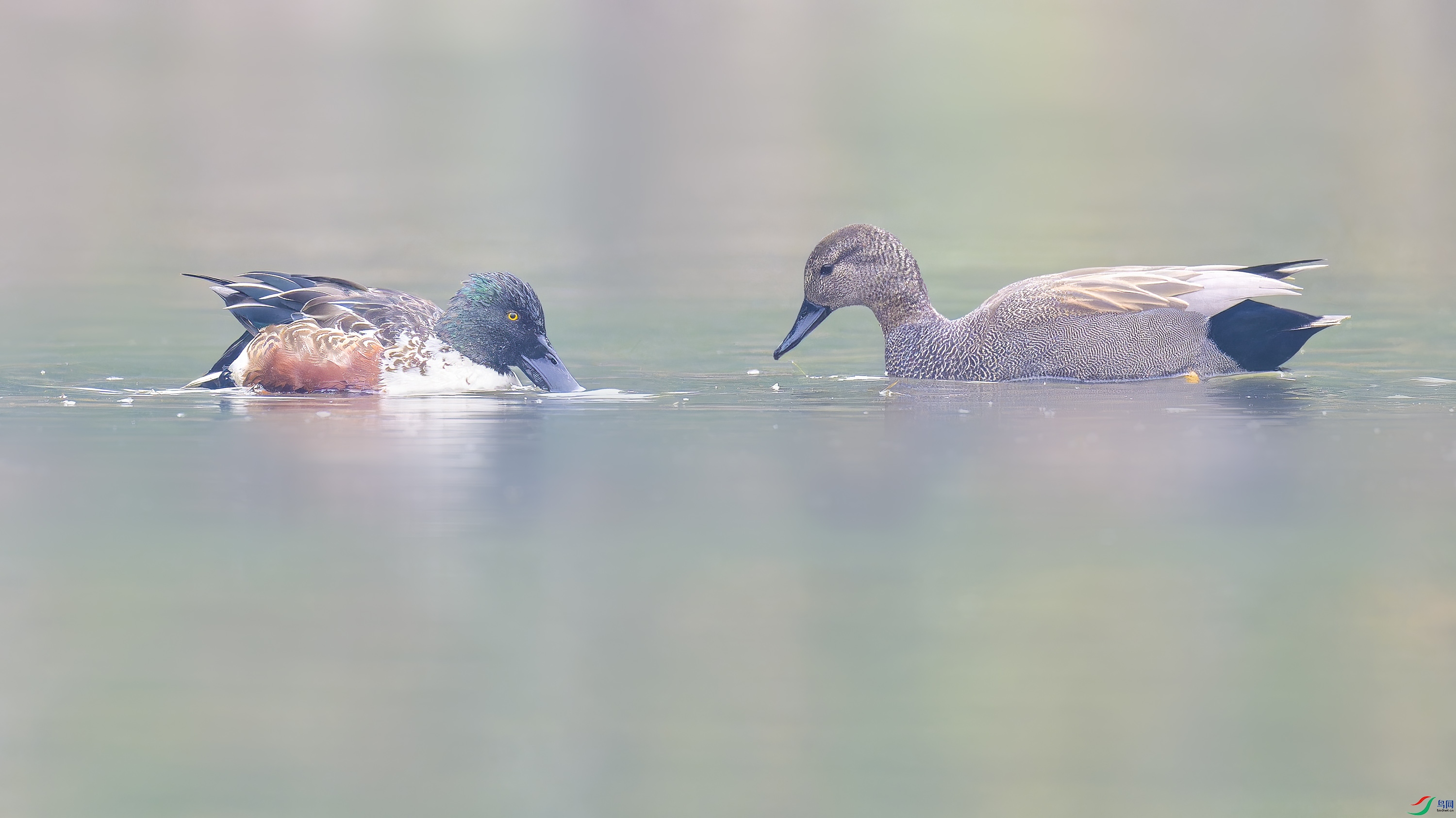 DSC_8451_DxO.jpg