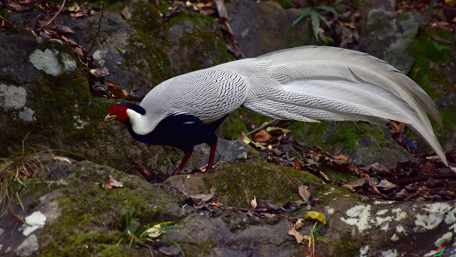D8I_3956.jpg