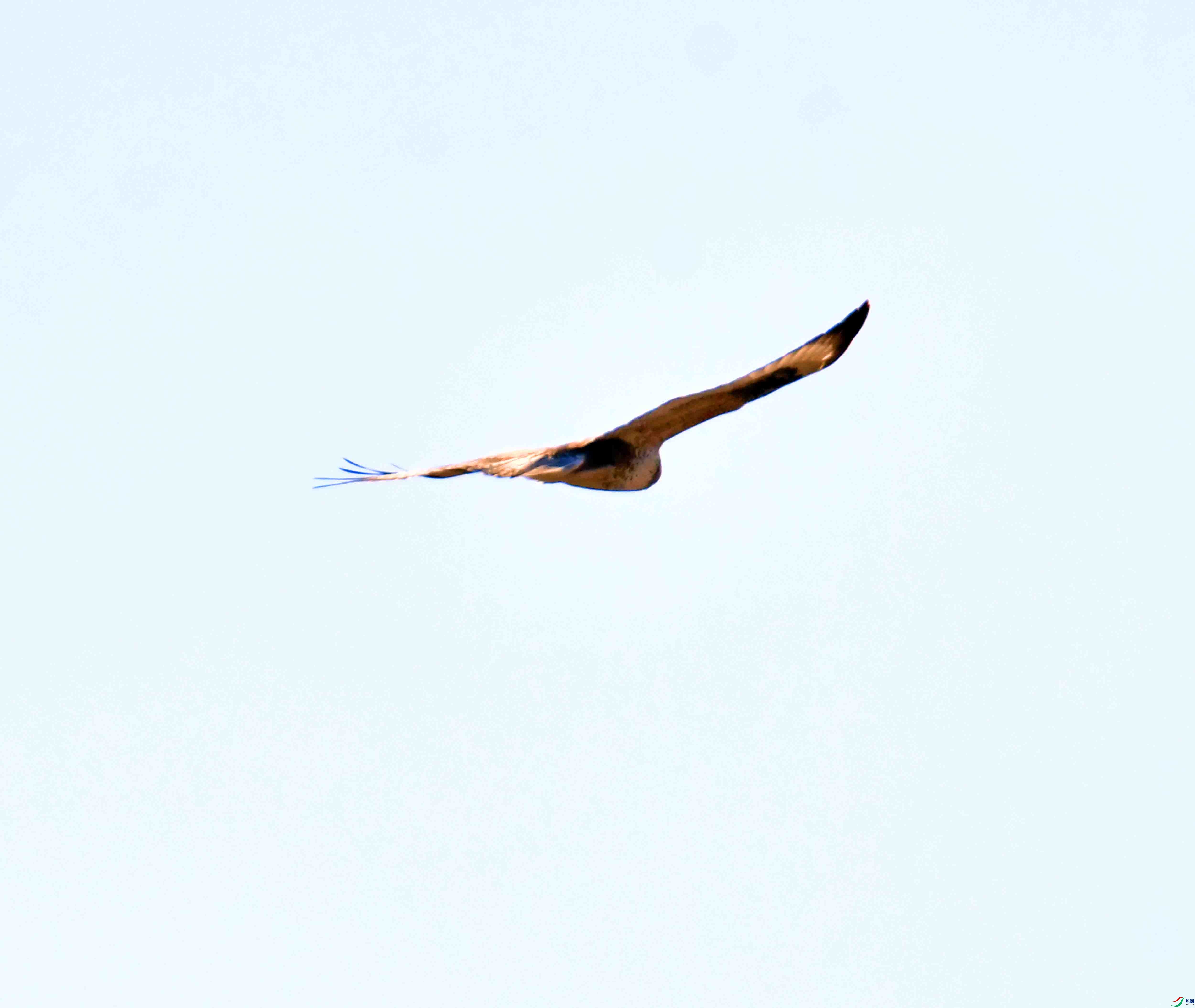 DSC_2605.JPG
