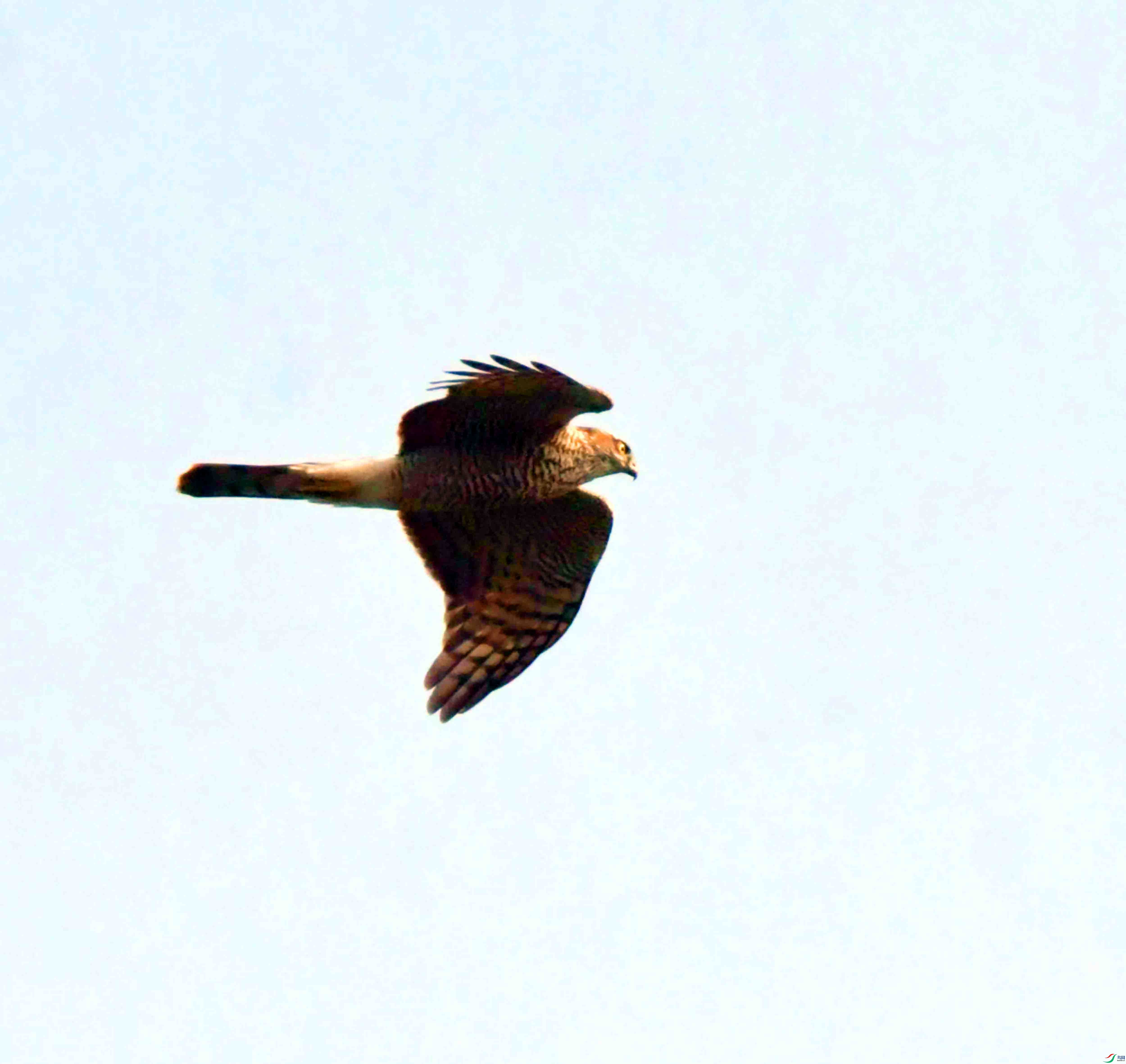 DSC_7221.JPG