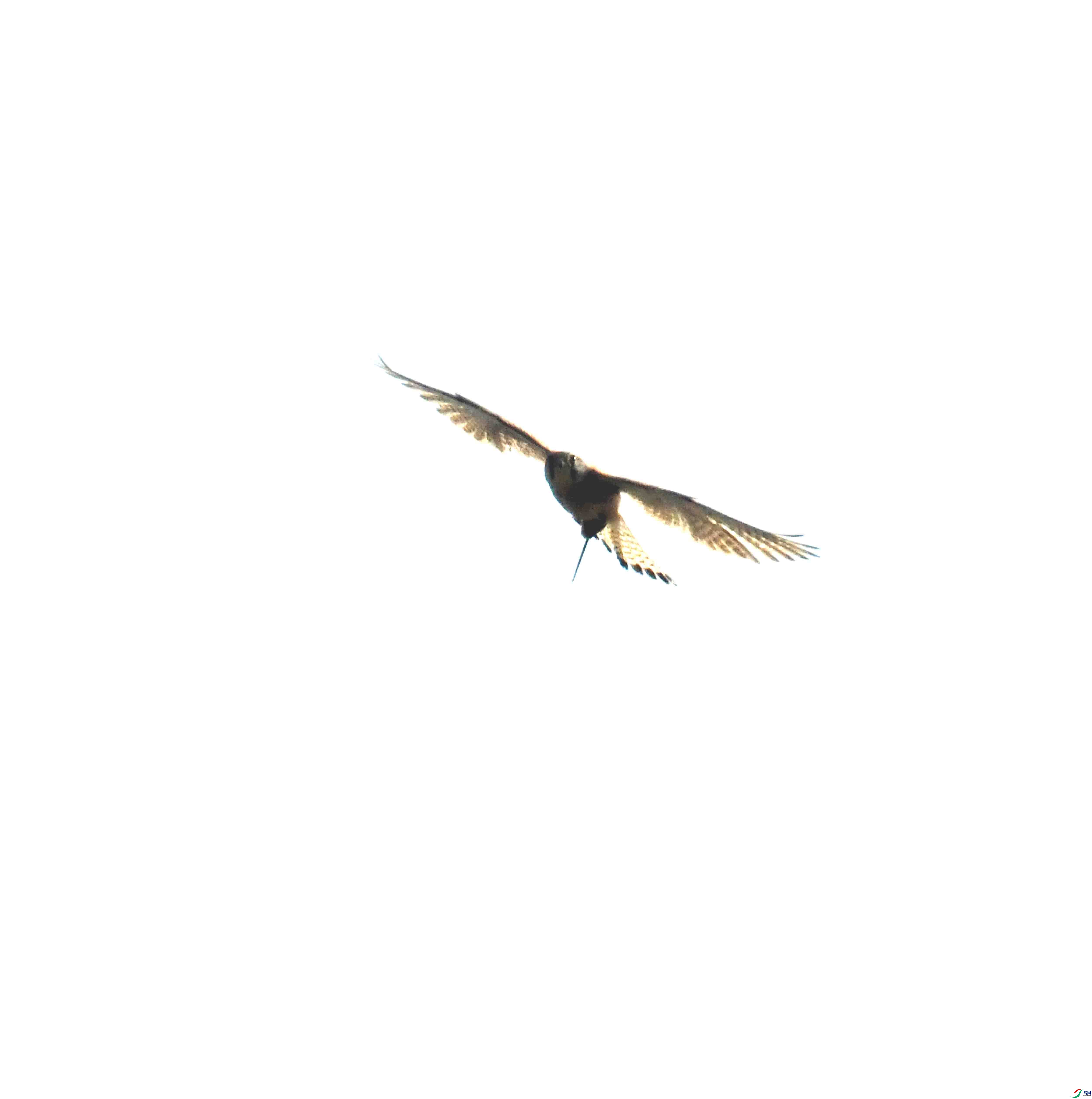 DSC_9120.JPG