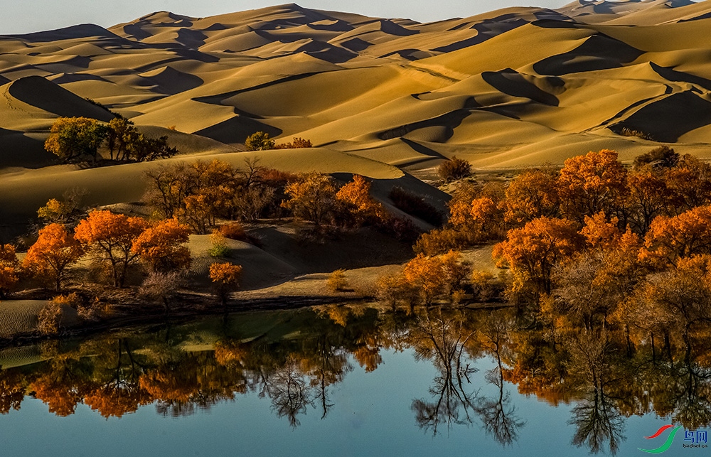 ��ɳ����