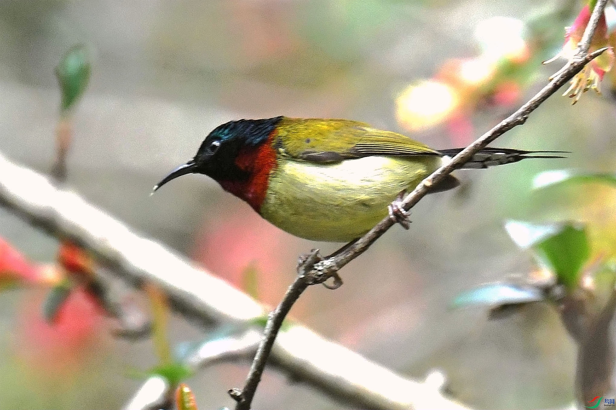 DSC_5931_����.jpg