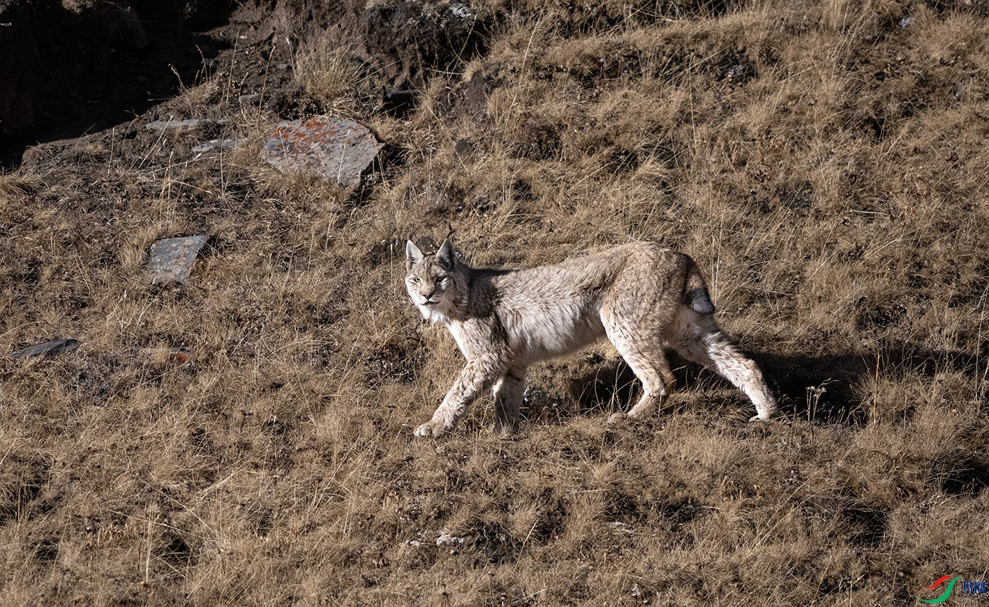 DSC_0014 ����.jpg