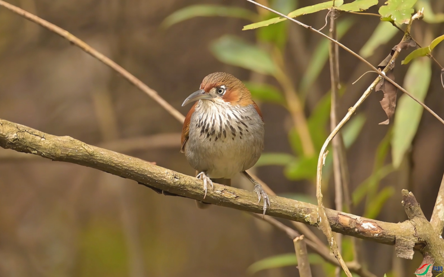 {5AD16223-36CE-49FE-B5AB-86EAAAF9161D} ����.jpg