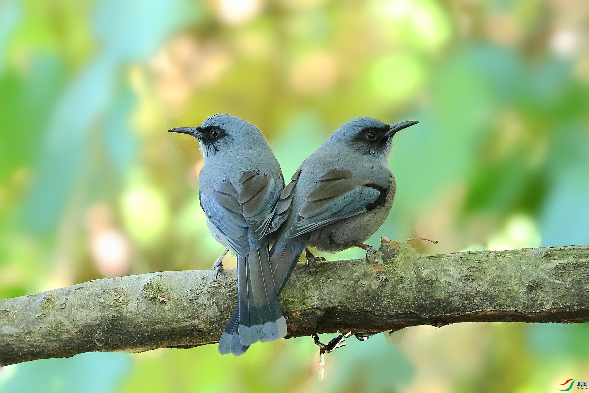 7A9A2090_����.jpg