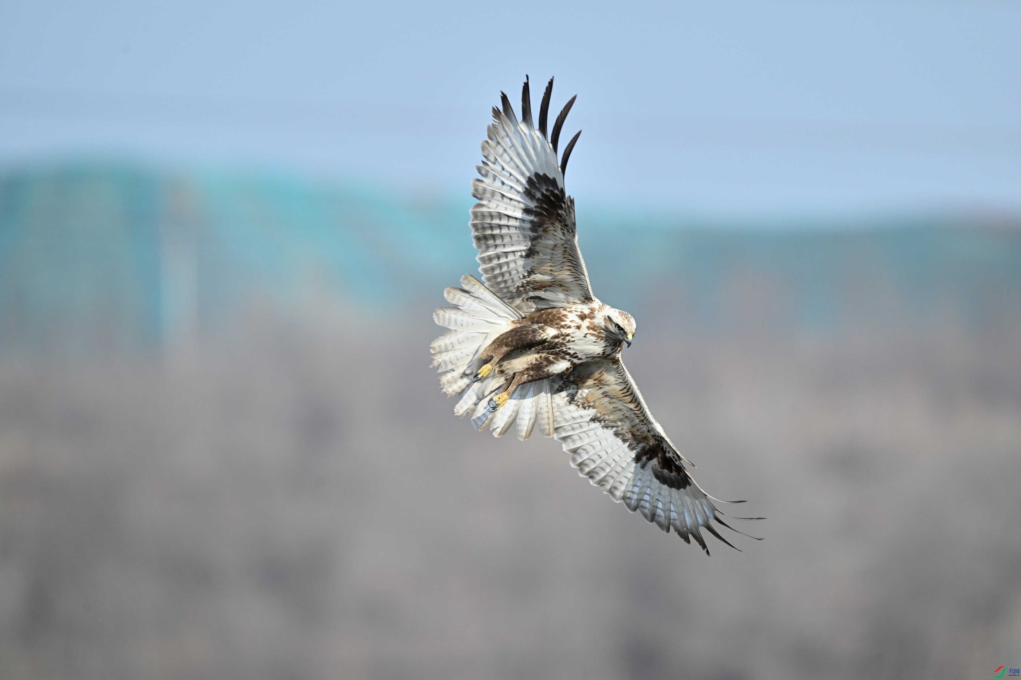 DSC_3577.JPG
