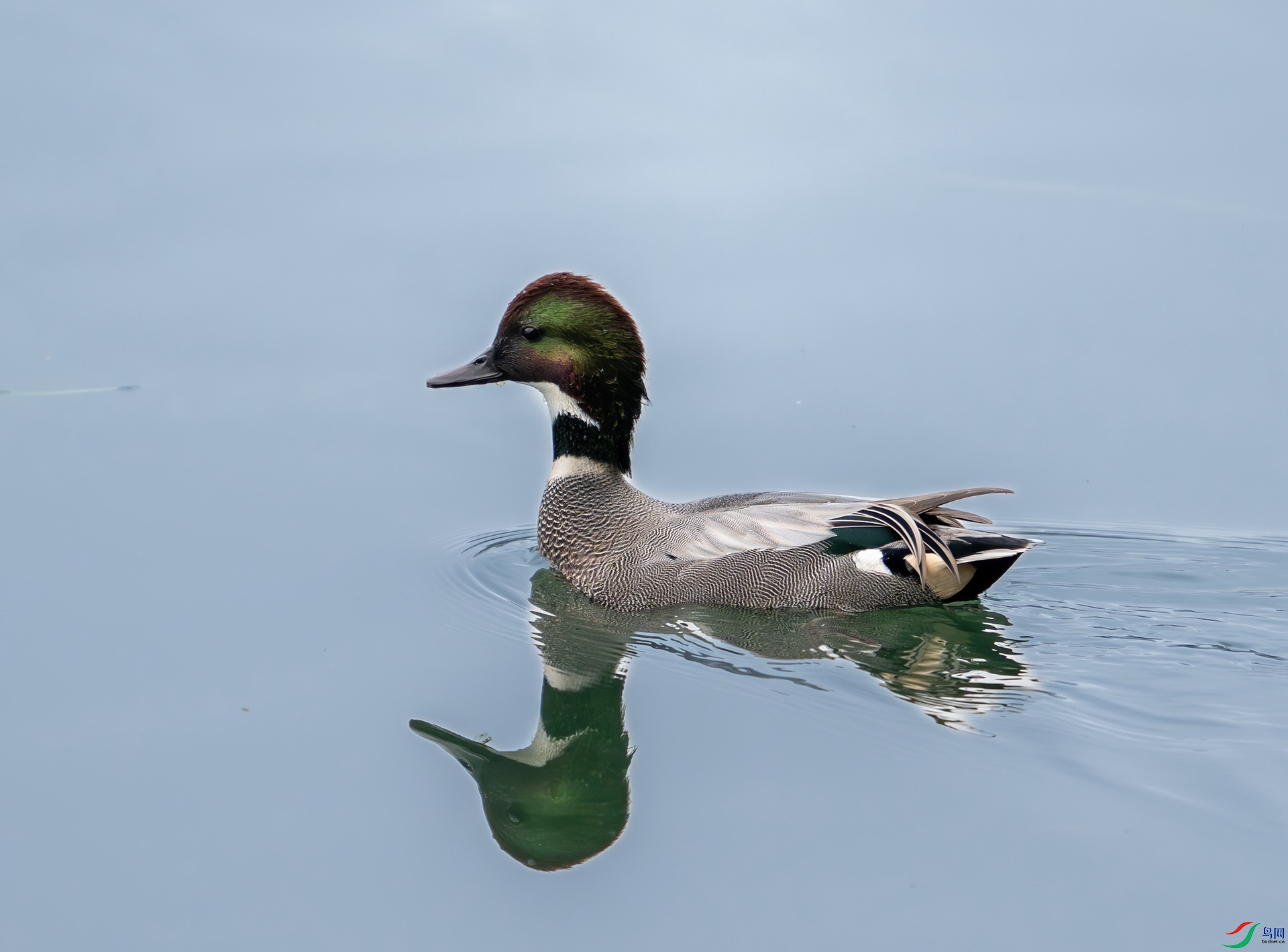 DSC_5060.jpg