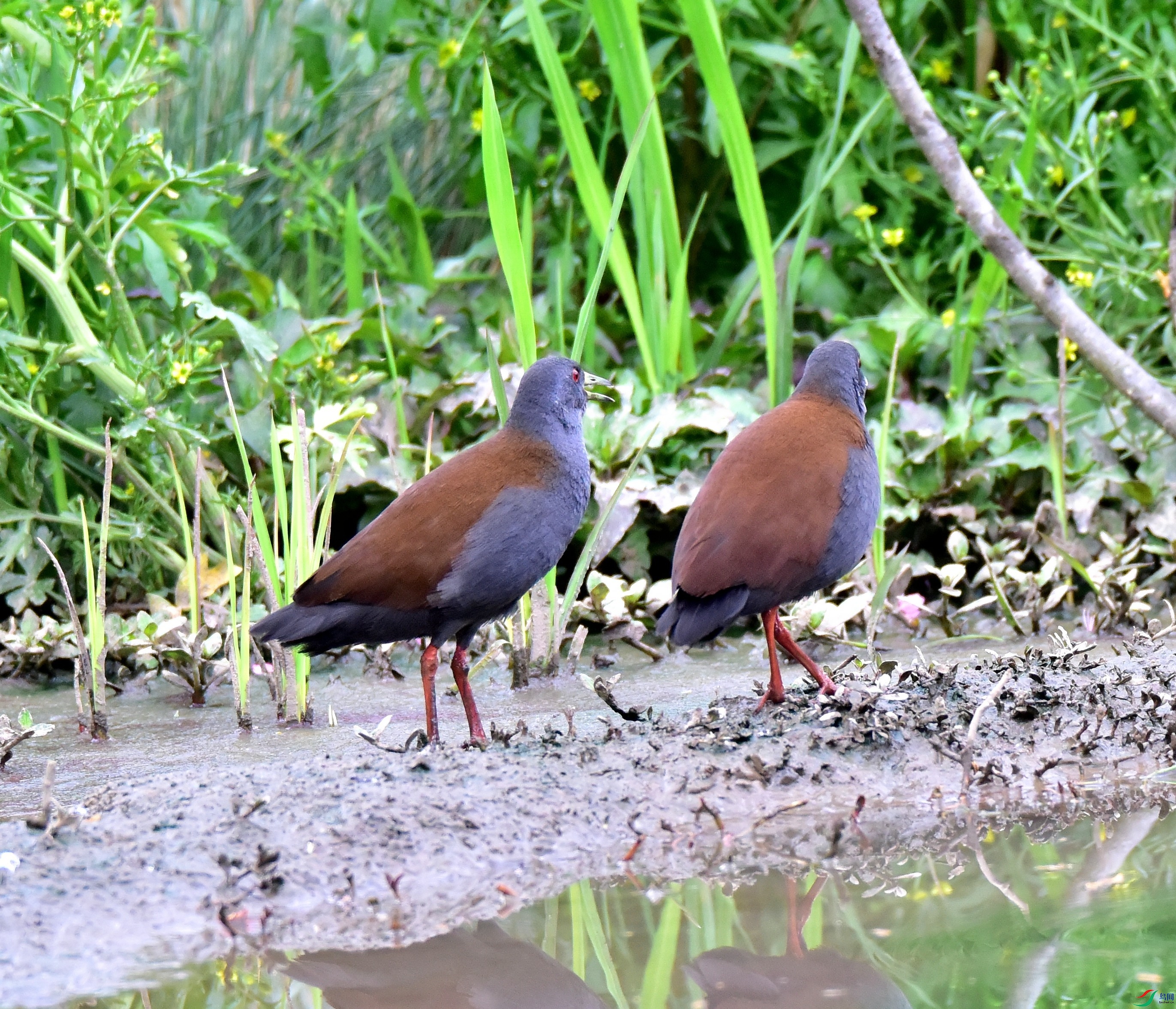 DSC_4680_01.JPG