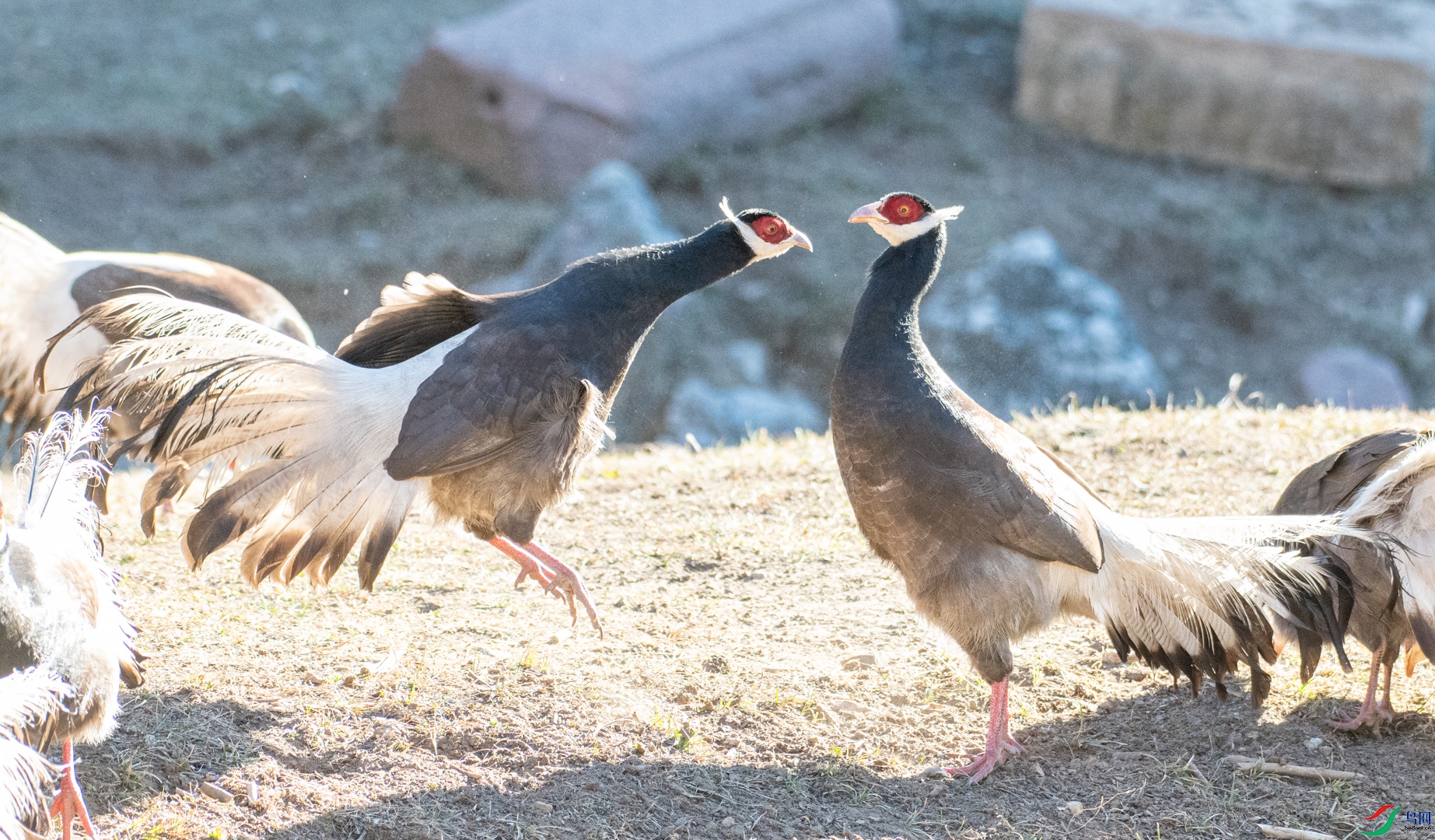 DSC_6481.jpg