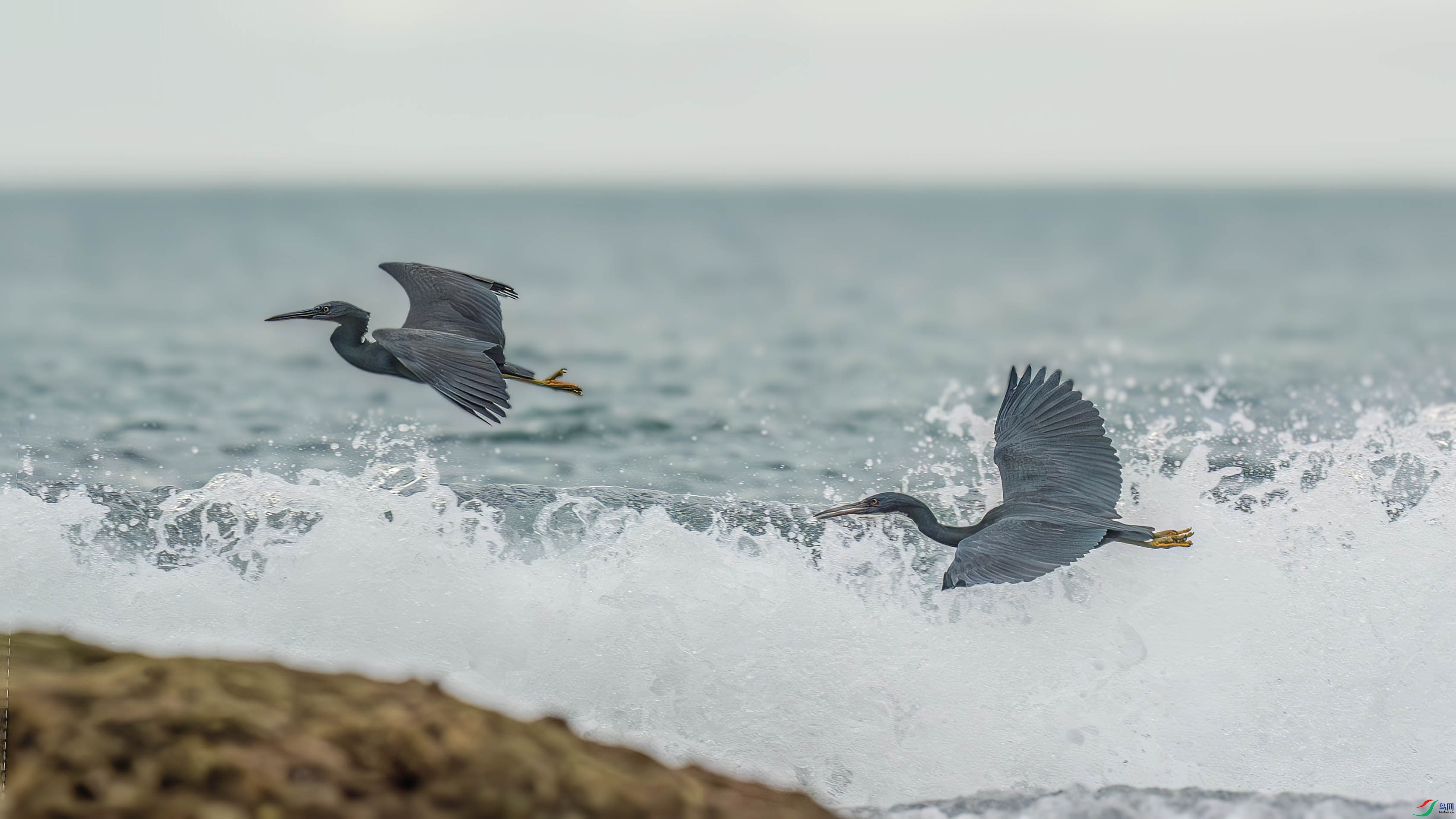 DSC06076-����ǿ-NR ���� 2.jpg