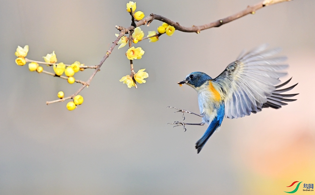 DSC_6970 - ����.JPG