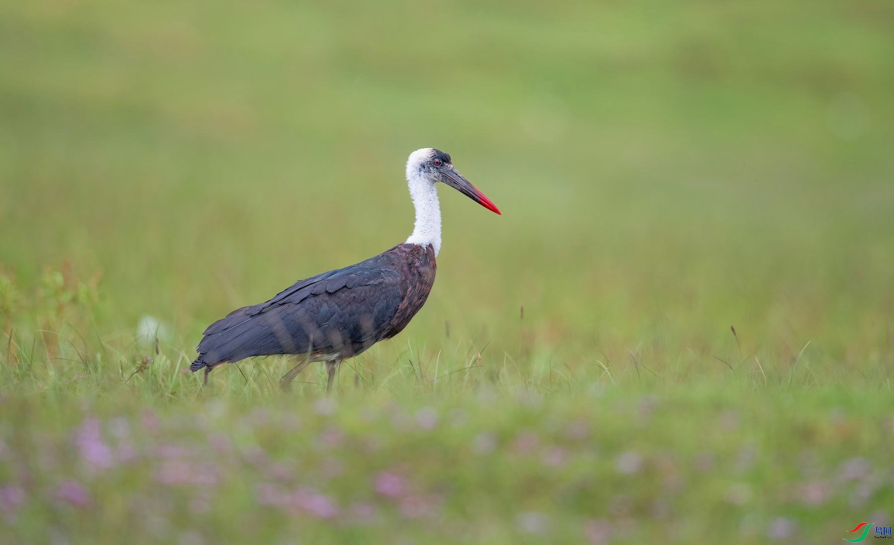 1.21����ͬ��yy��ʦ��Ʒ   �׾��٣�ף���ٻ��Ա������.jpg