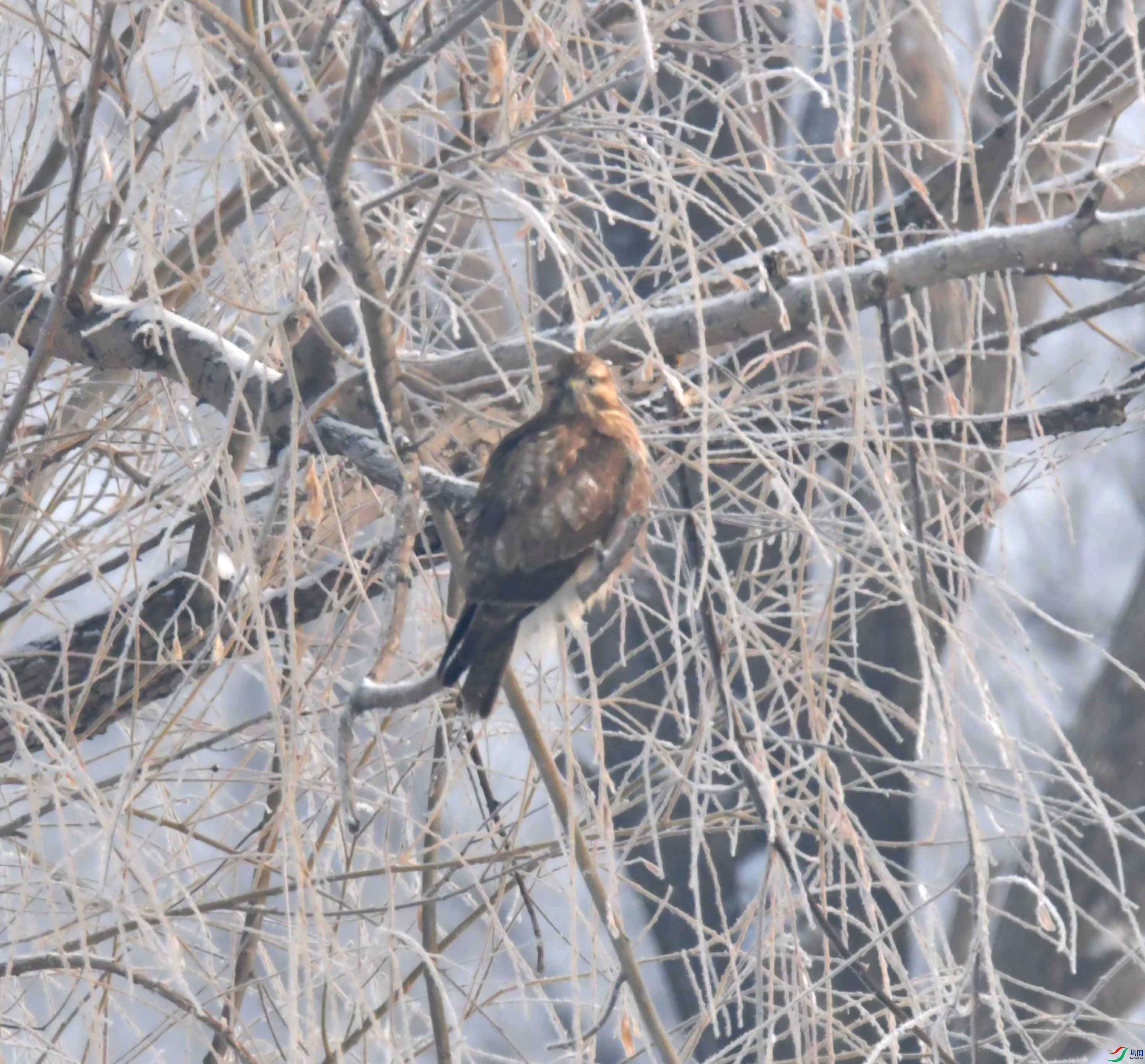 DSC_5100.JPG