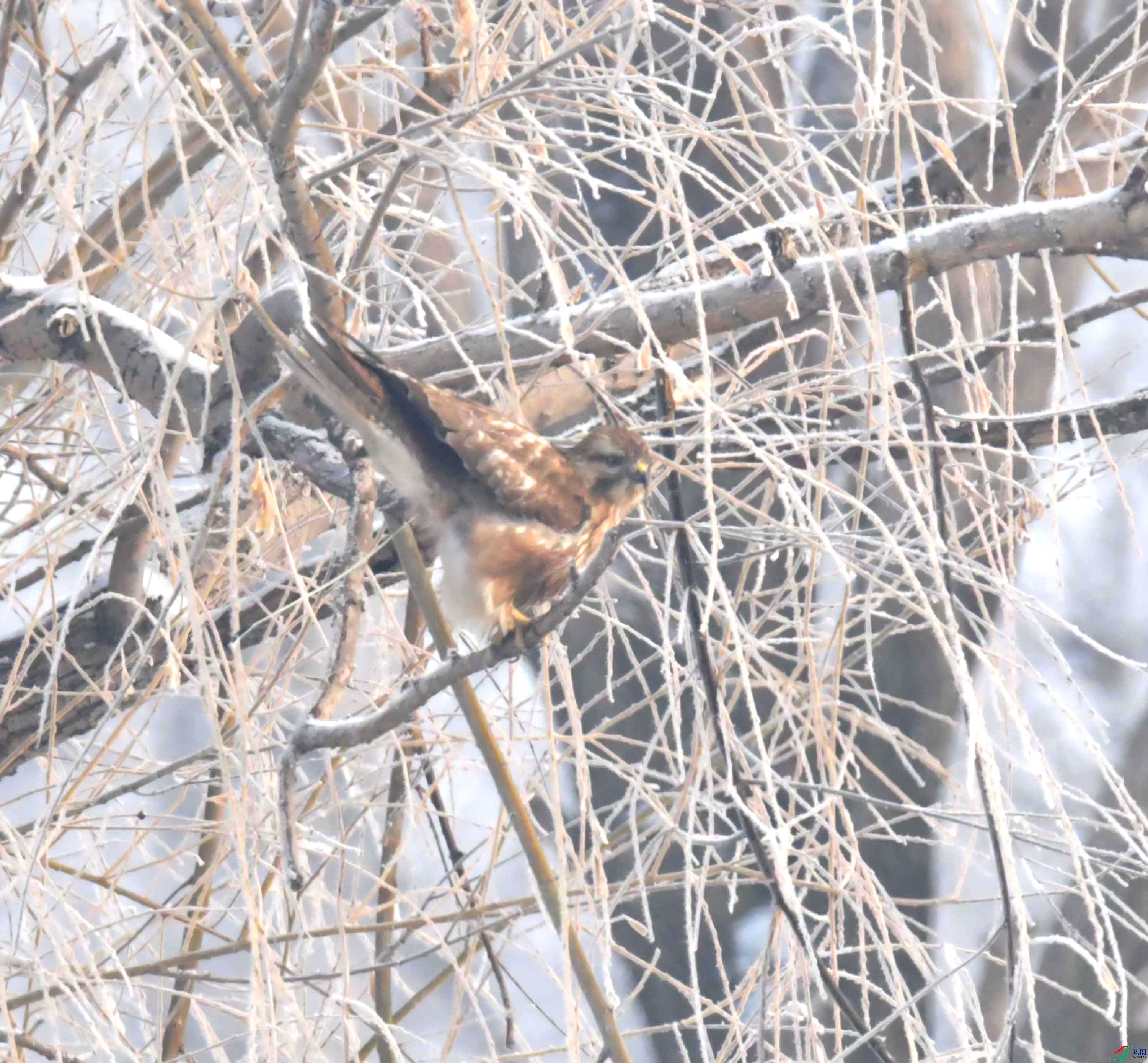 DSC_5122.JPG