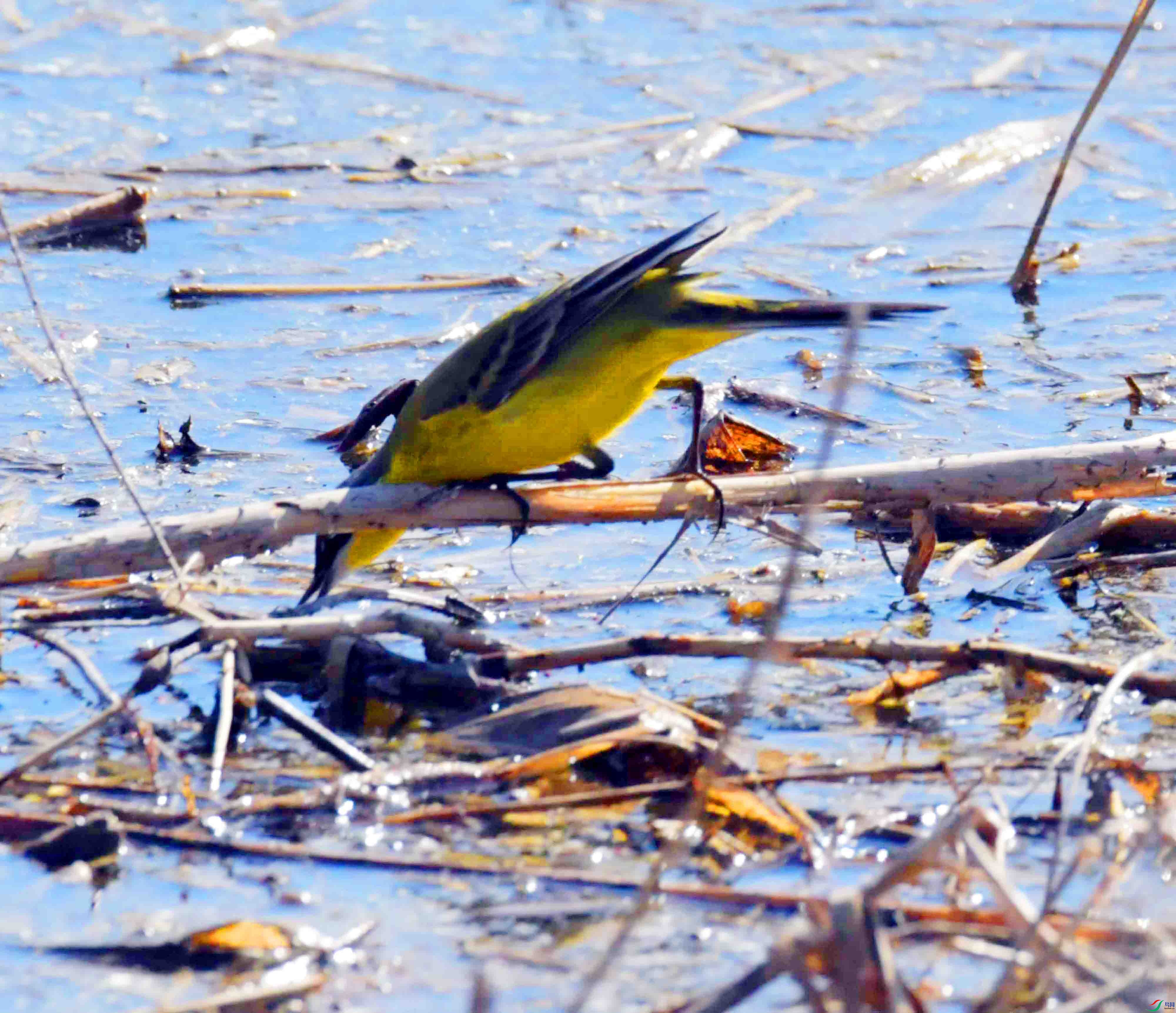 DSC_9642.JPG