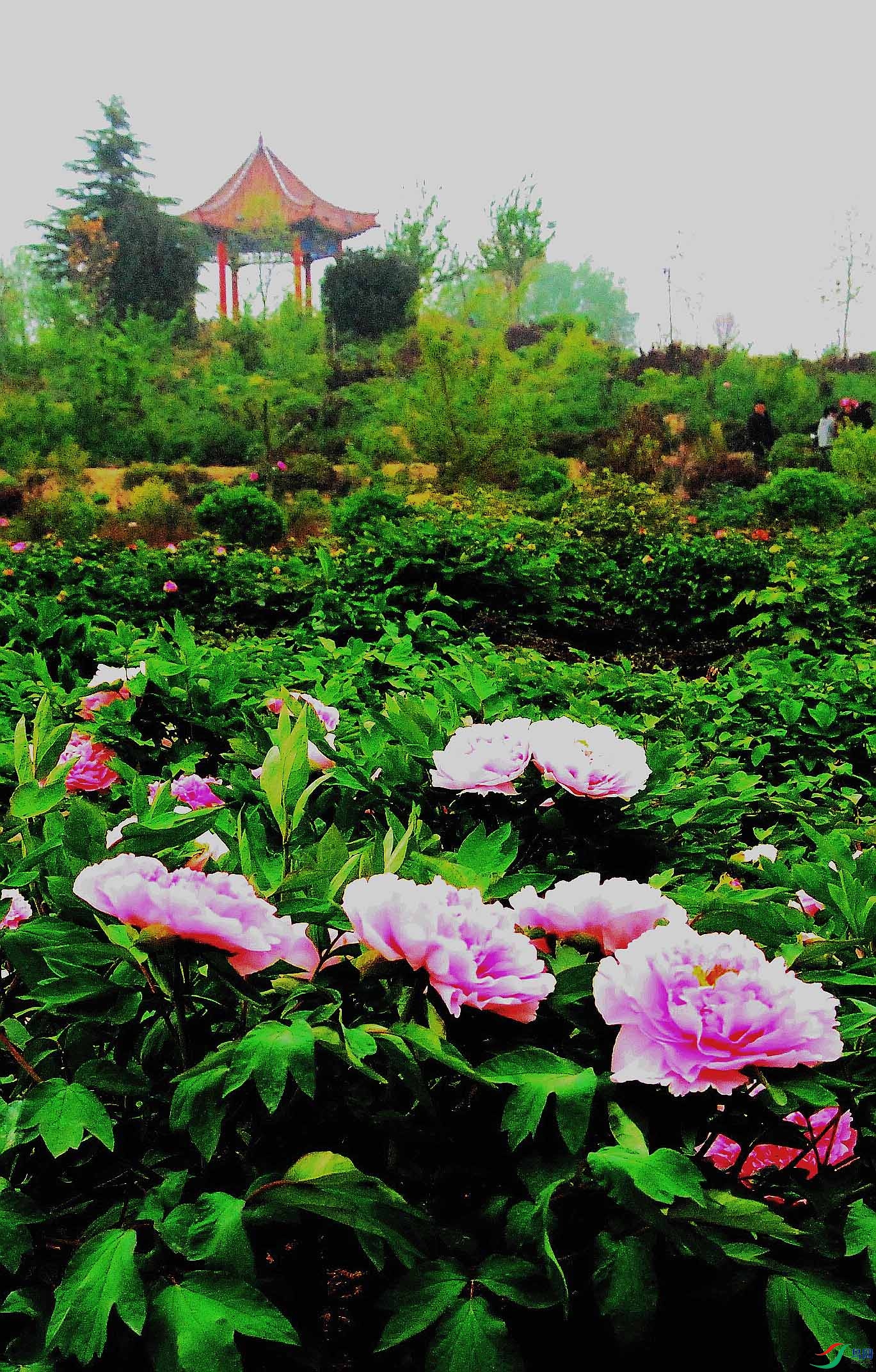 DSC_0401_����.jpg