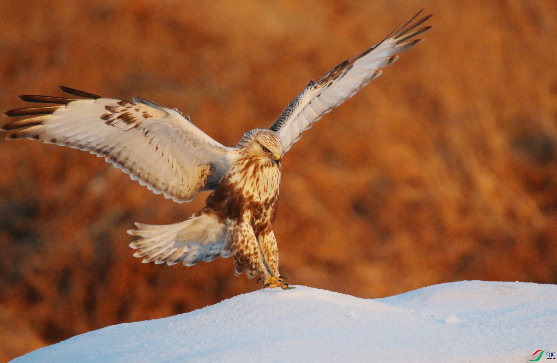 0G1A5262 ����.jpg