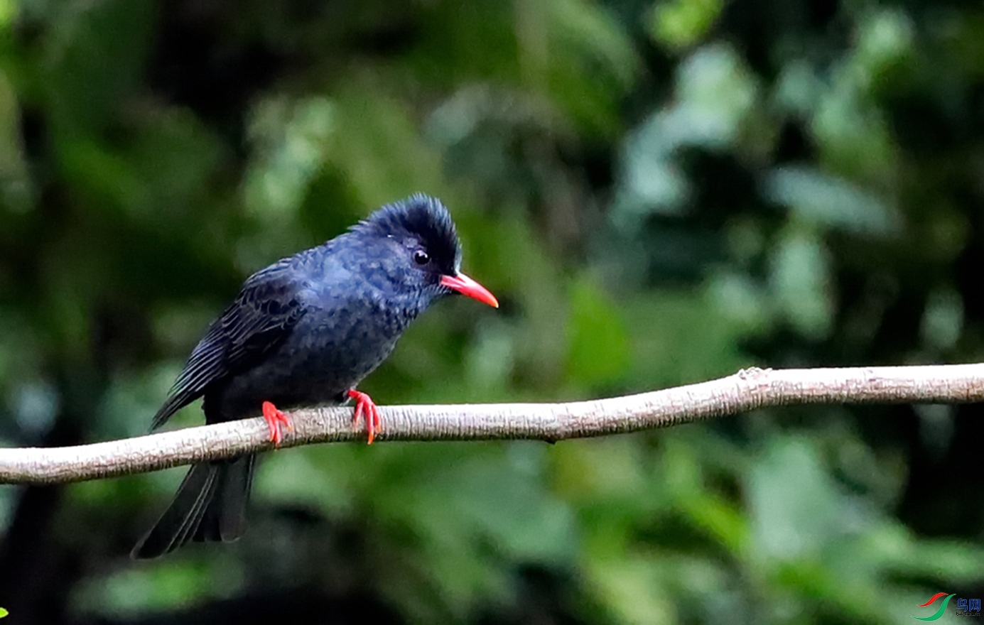 BK2A9750.JPG