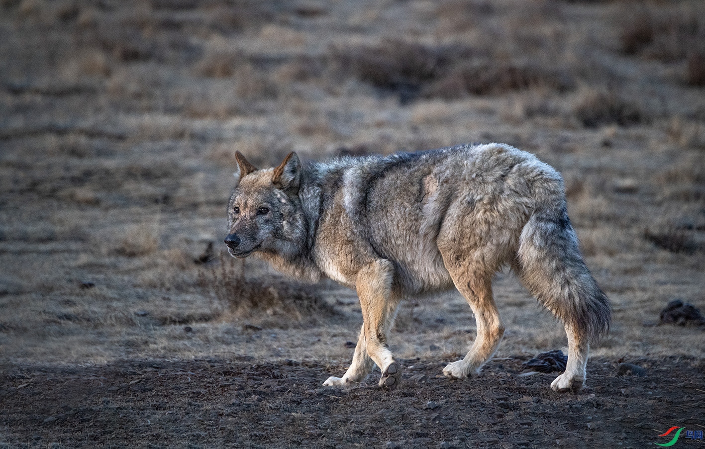 _DSC9468 ����.jpg