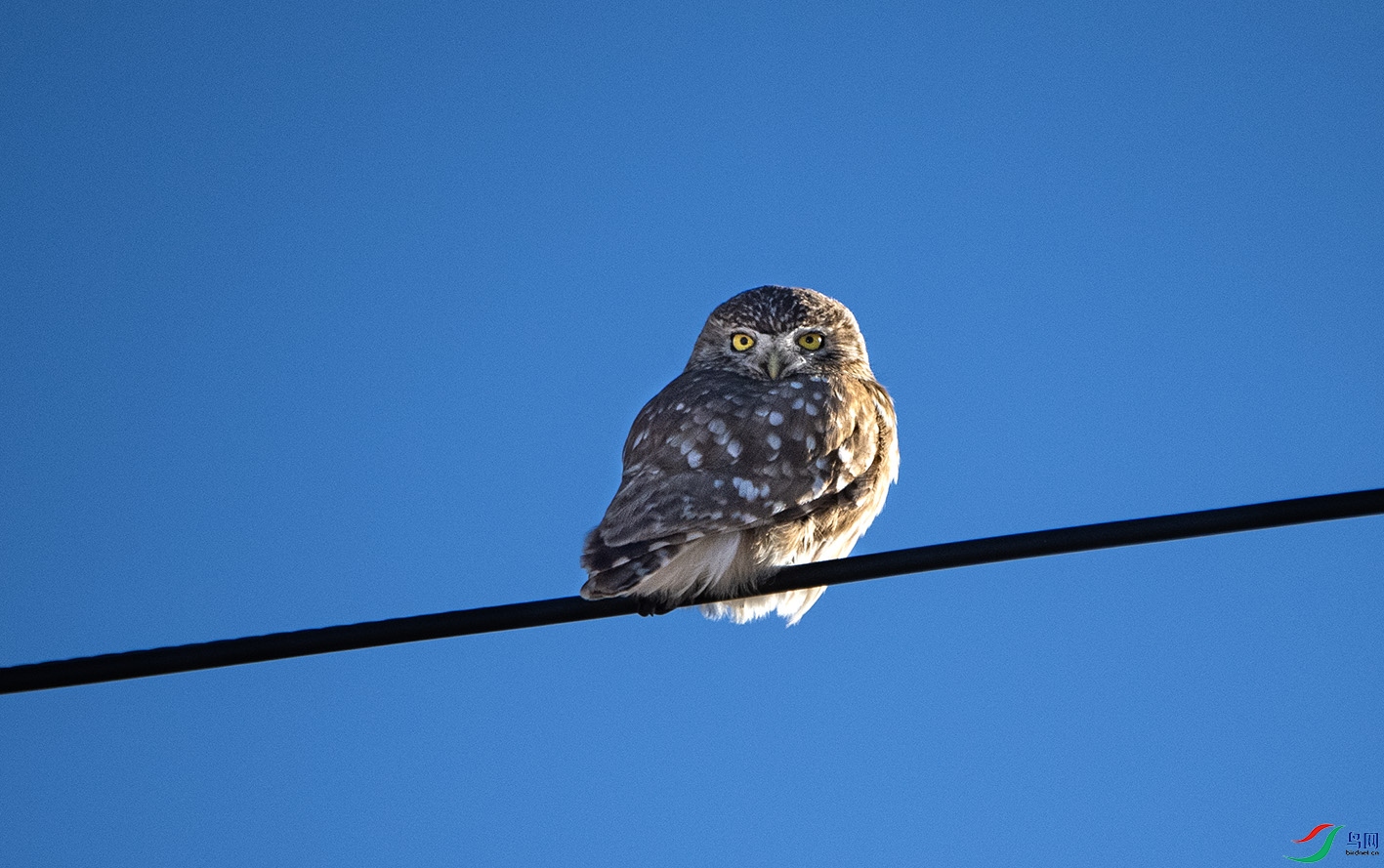 _DSC9605 ����.jpg