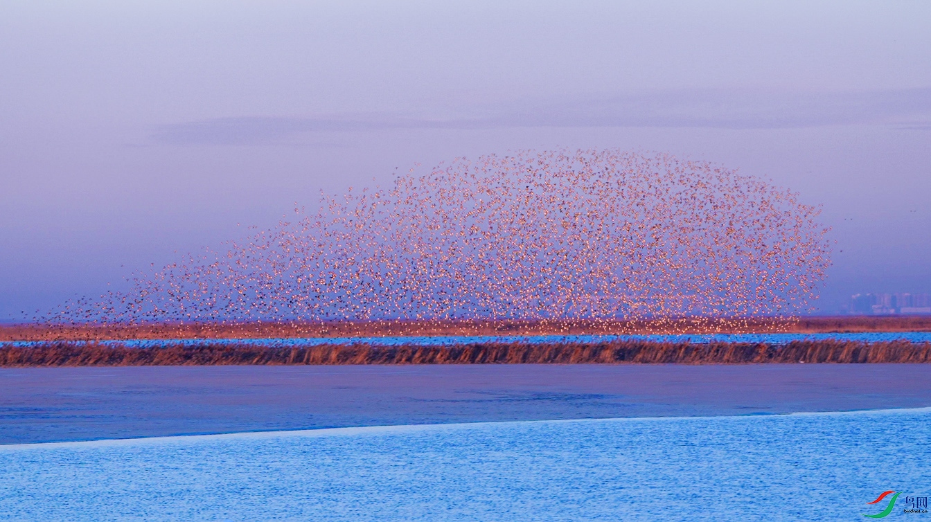 ΢��ͼƬ_20250123222748 ���� 2...jpg